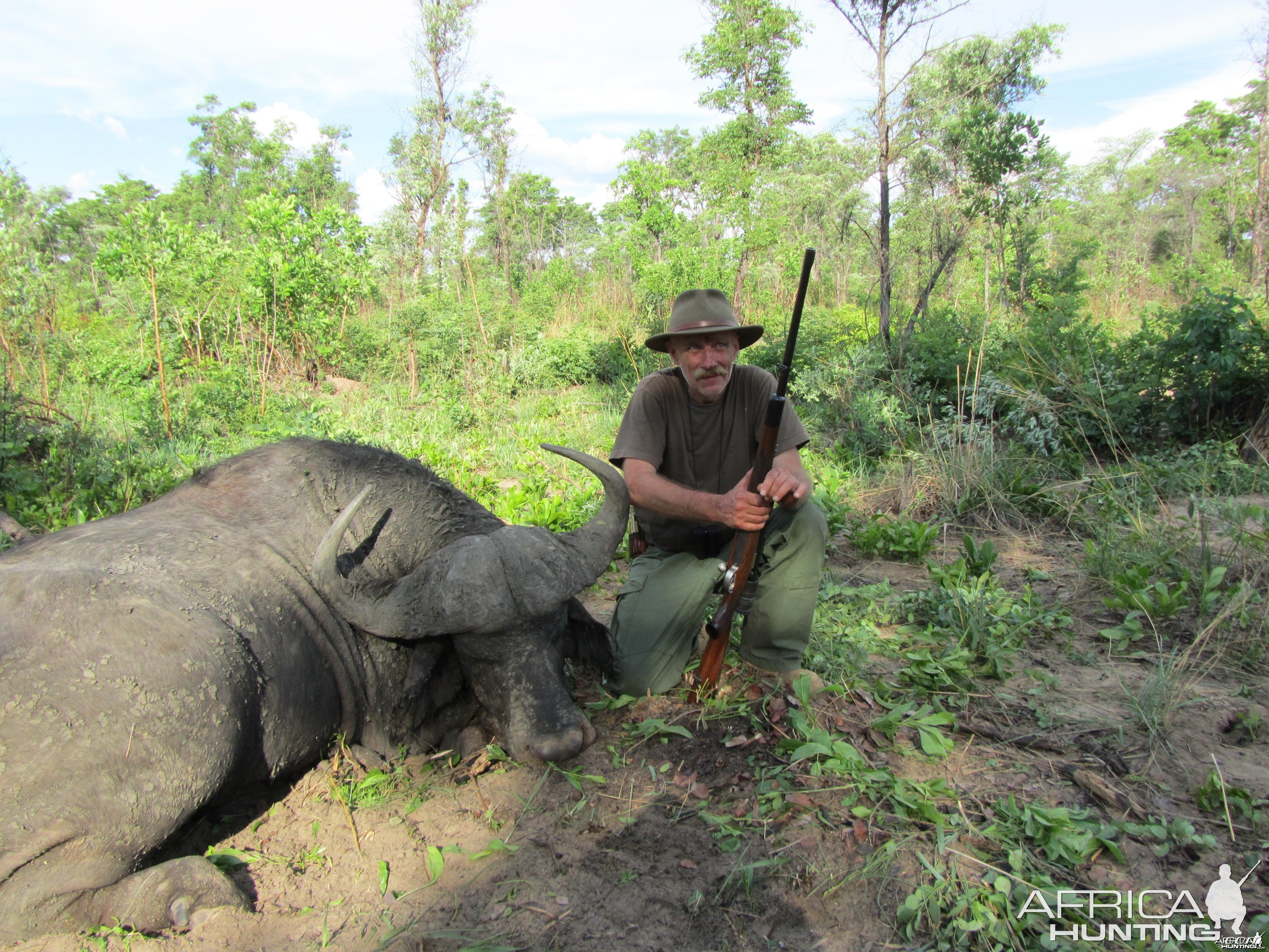 Buffalo from Nyamazana Safaris Zimbabwe