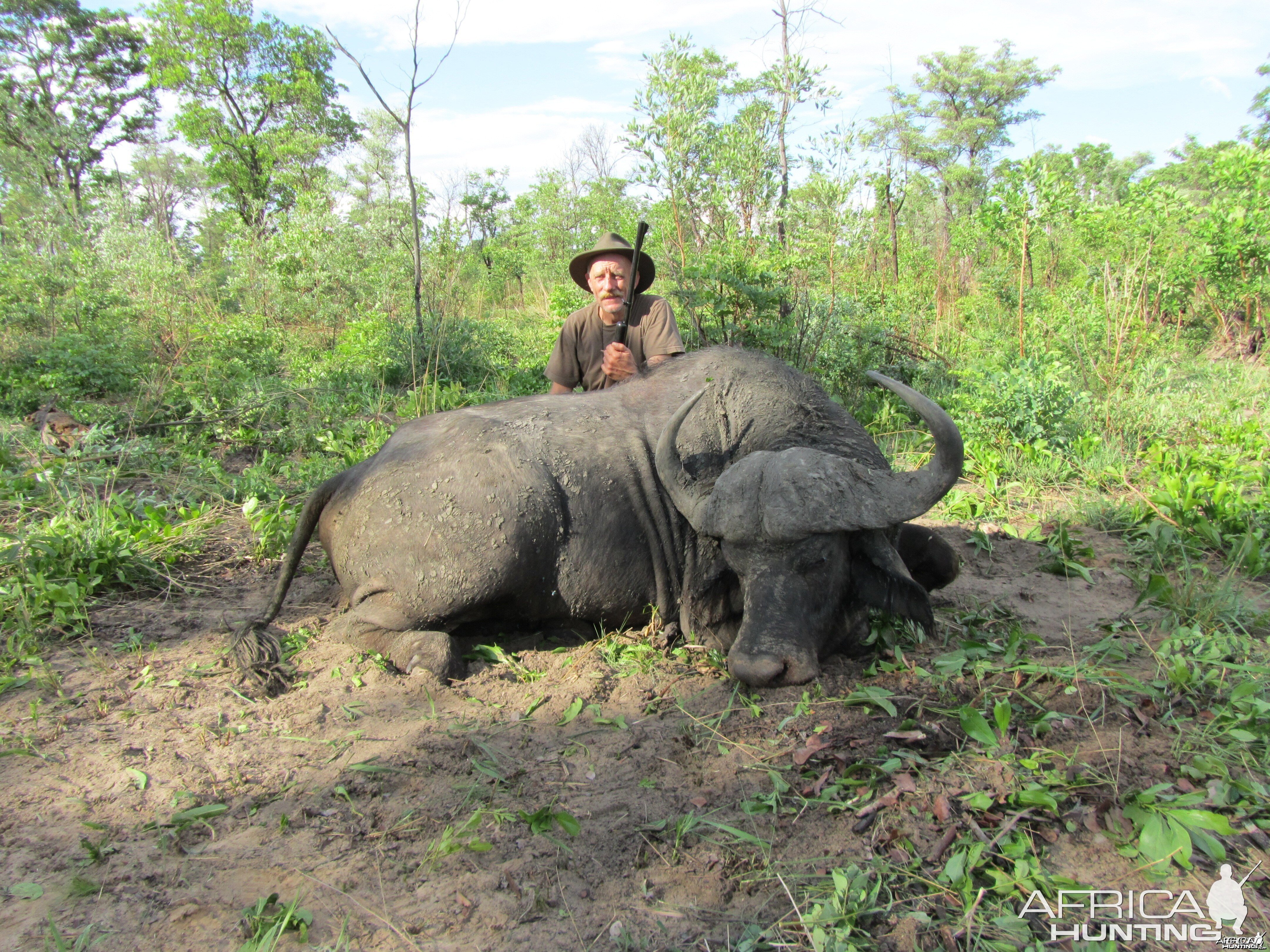 Buffalo from Nyamazana Safaris Zimbabwe