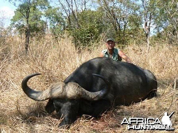 Buffalo from Tanzania - 45 inches