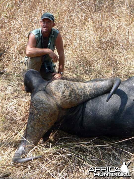 Buffalo from Tanzania - 45 inches