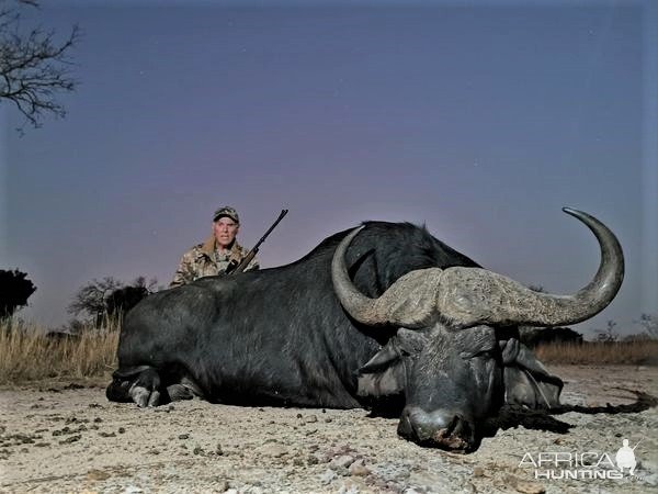 Buffalo Hunt Bushveld South Africa