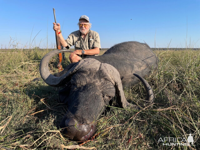 Buffalo Hunt Caprivi Namibia