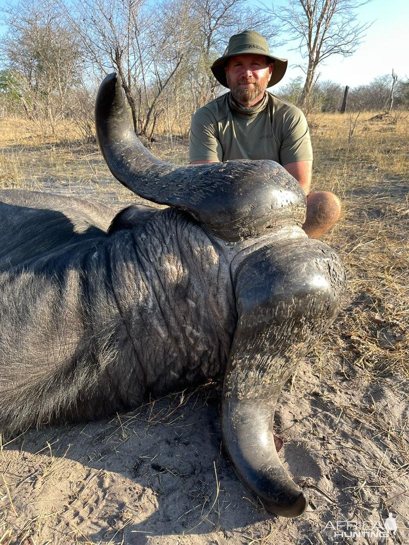 Buffalo Hunt Caprivi Namibia