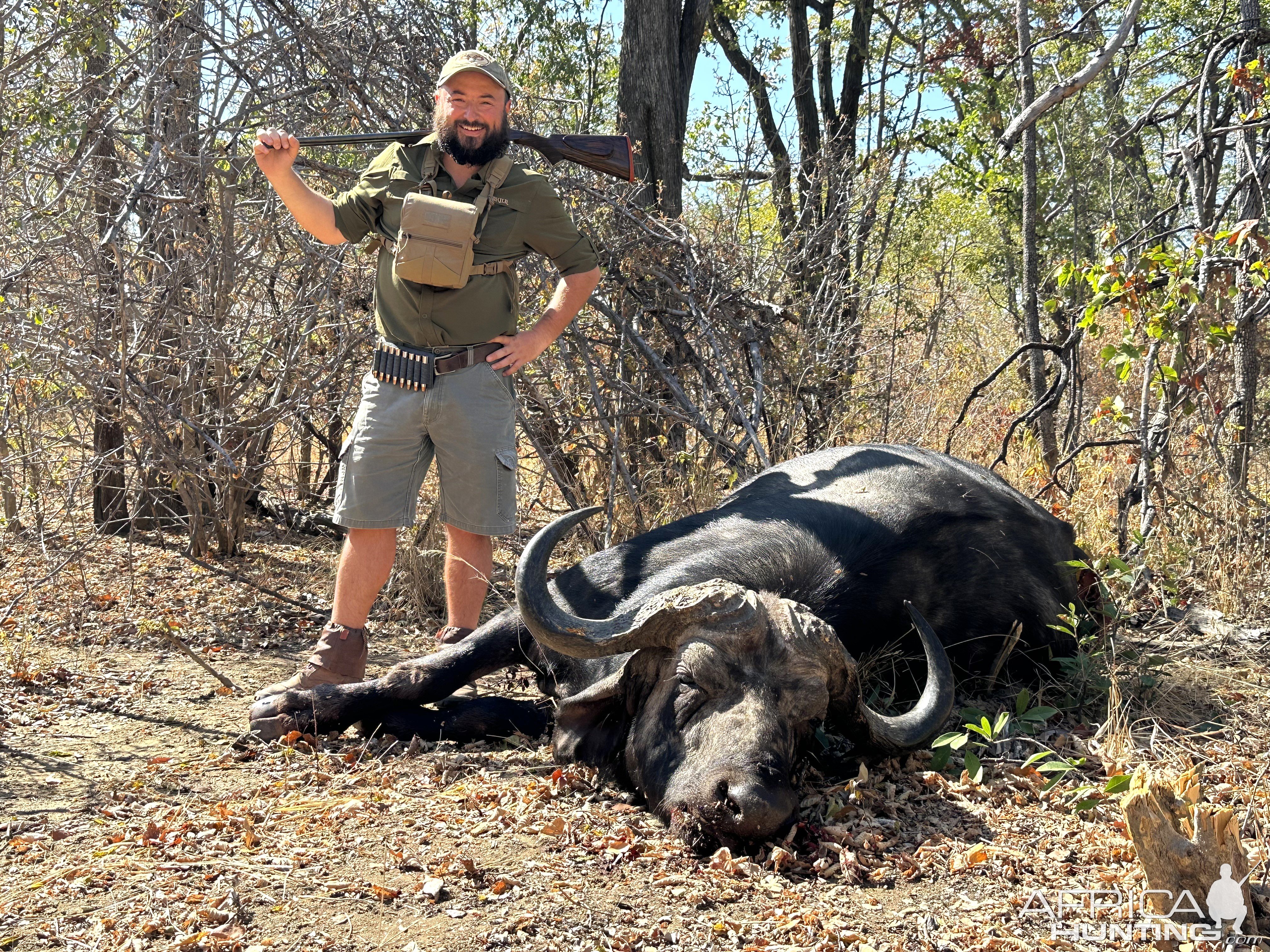 Buffalo Hunt Charara Zimbabwe