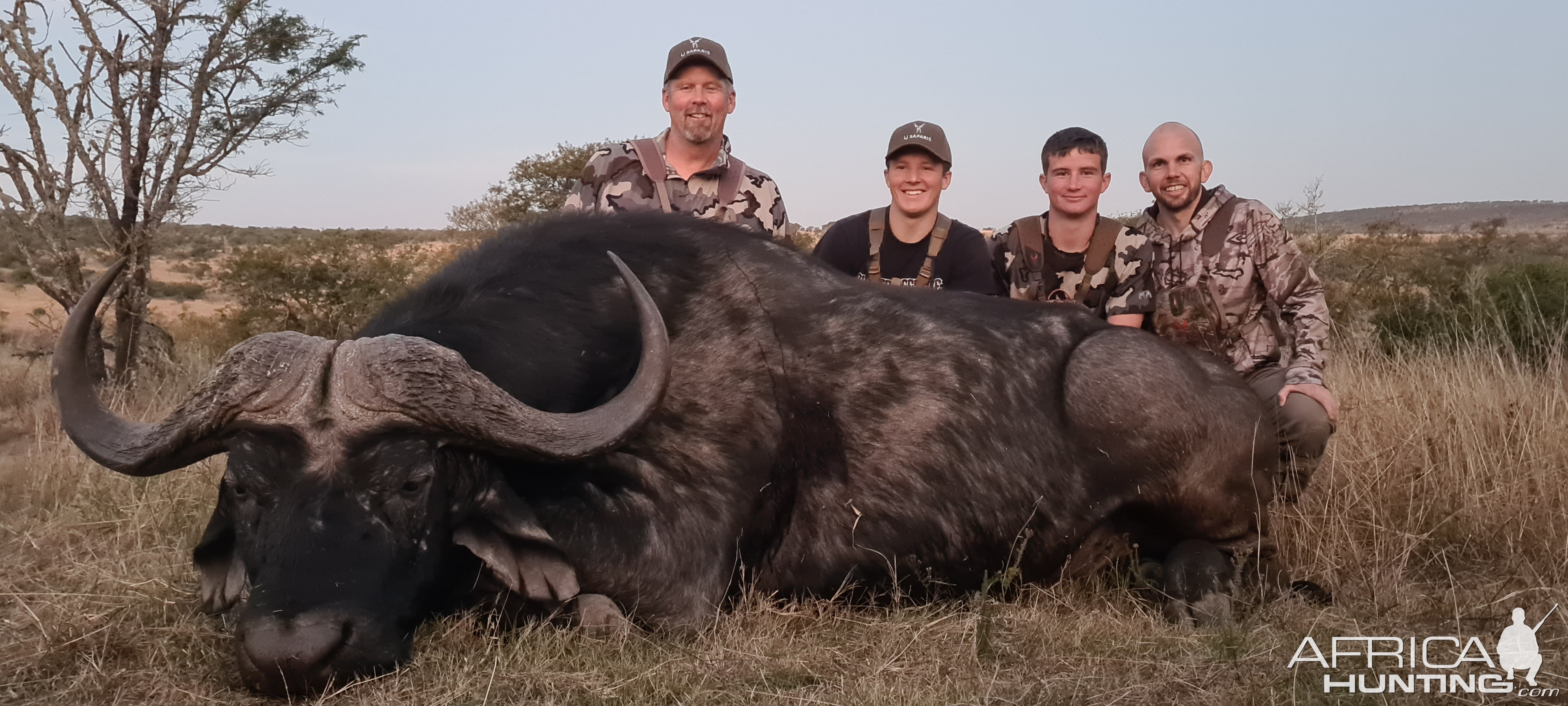 Buffalo Hunt Eastern Cape South Africa