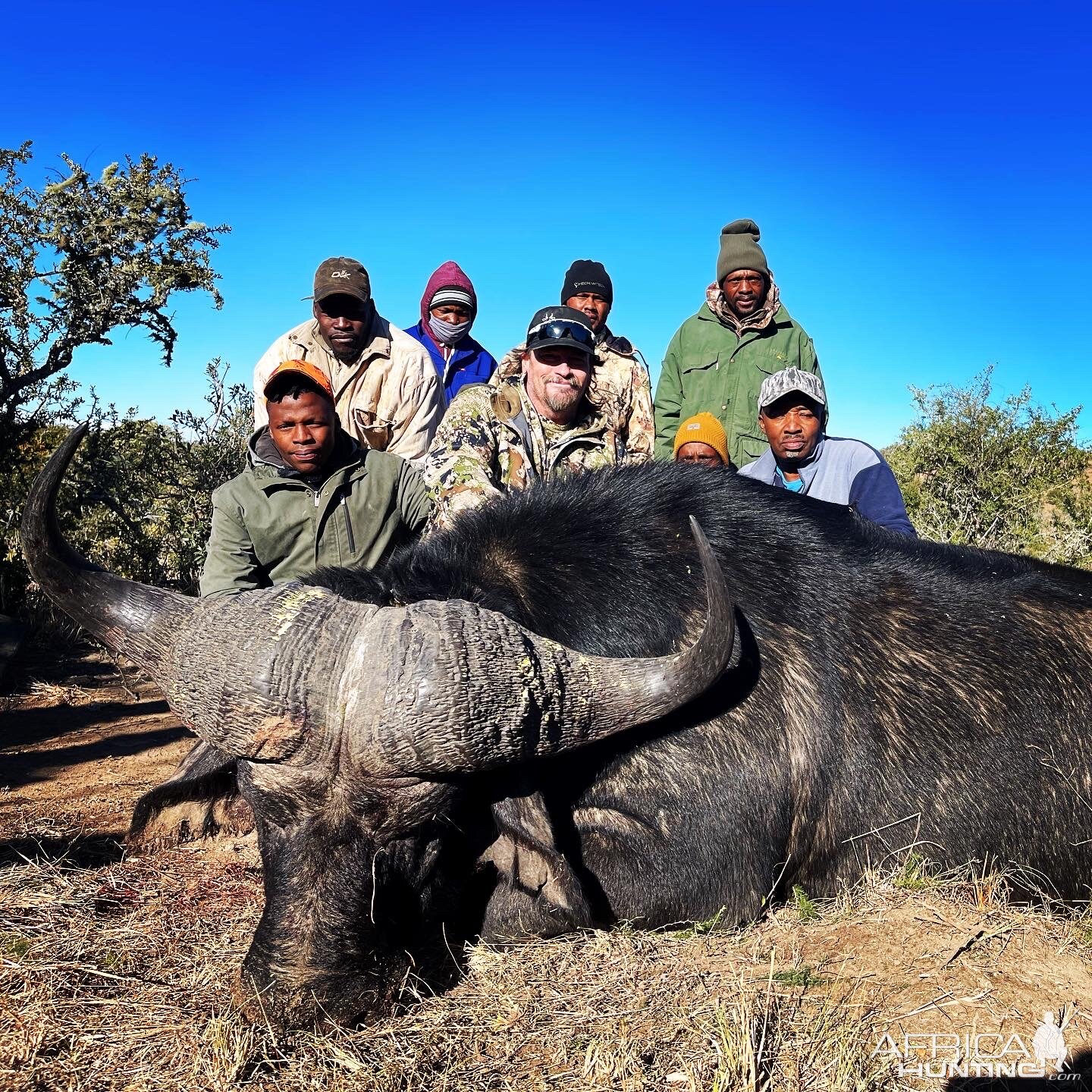 Buffalo Hunt Eastern Cape South Africa