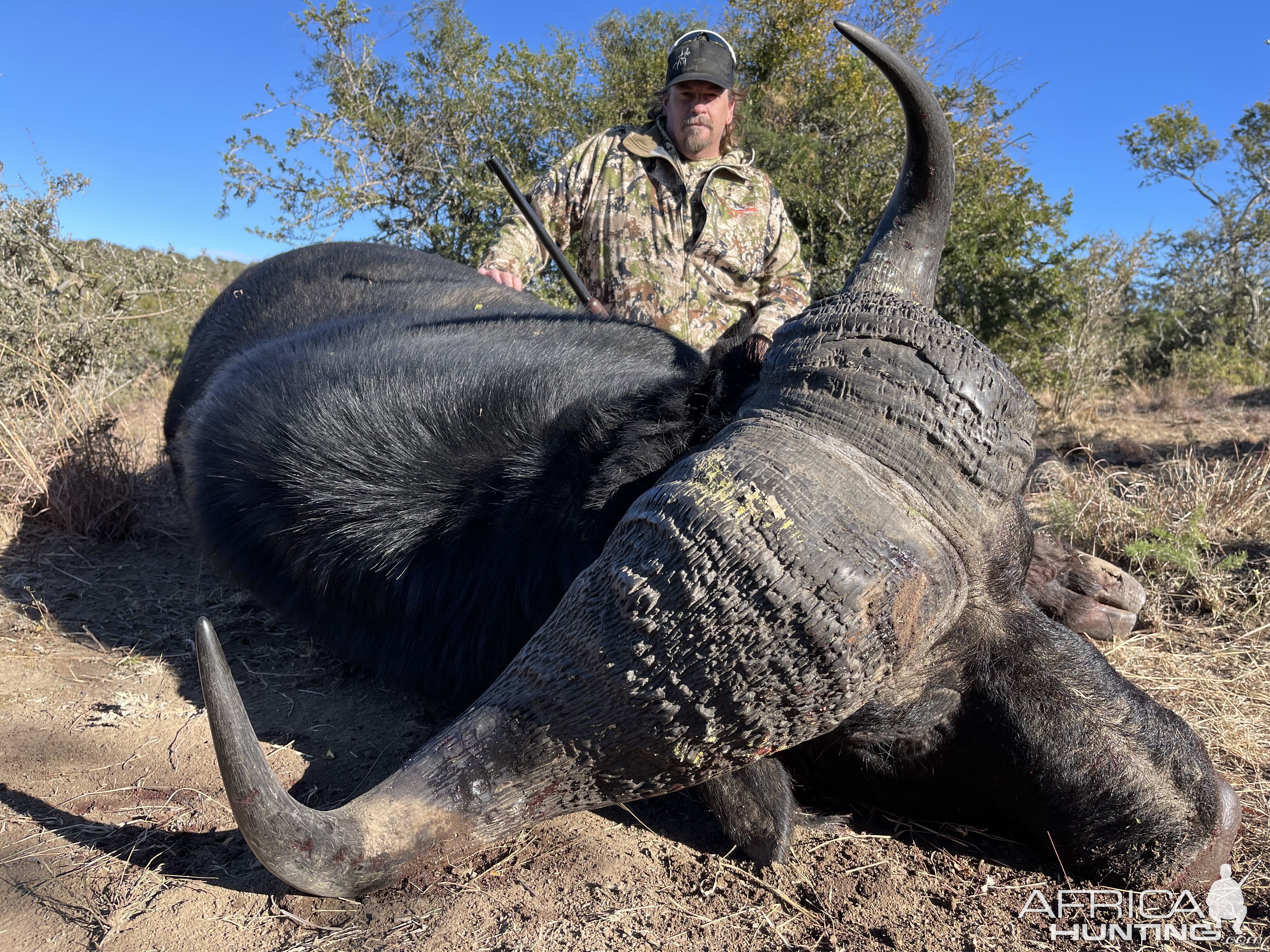 Buffalo Hunt Eastern Cape South Africa