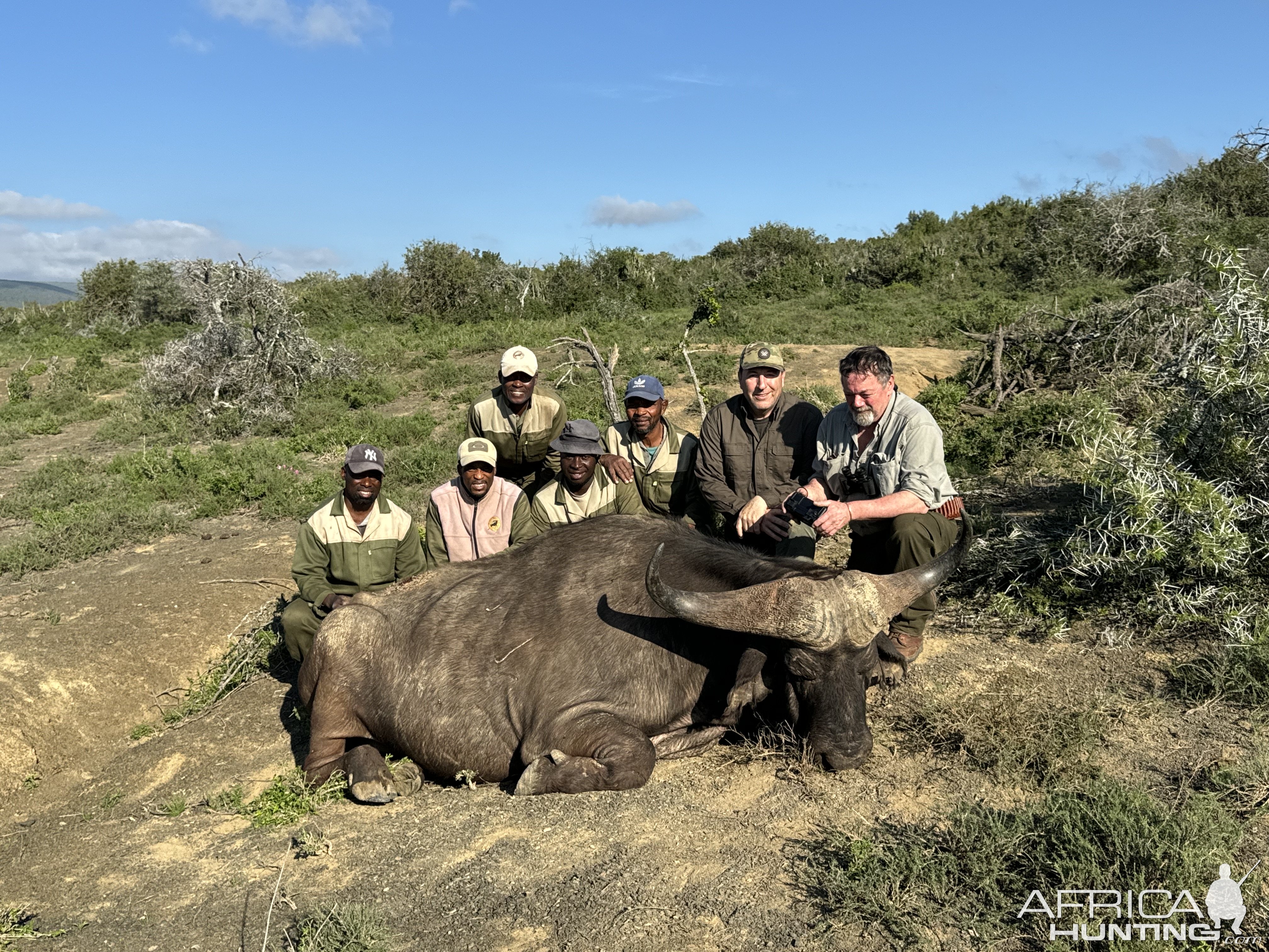 Buffalo Hunt Eastern Cape South Africa