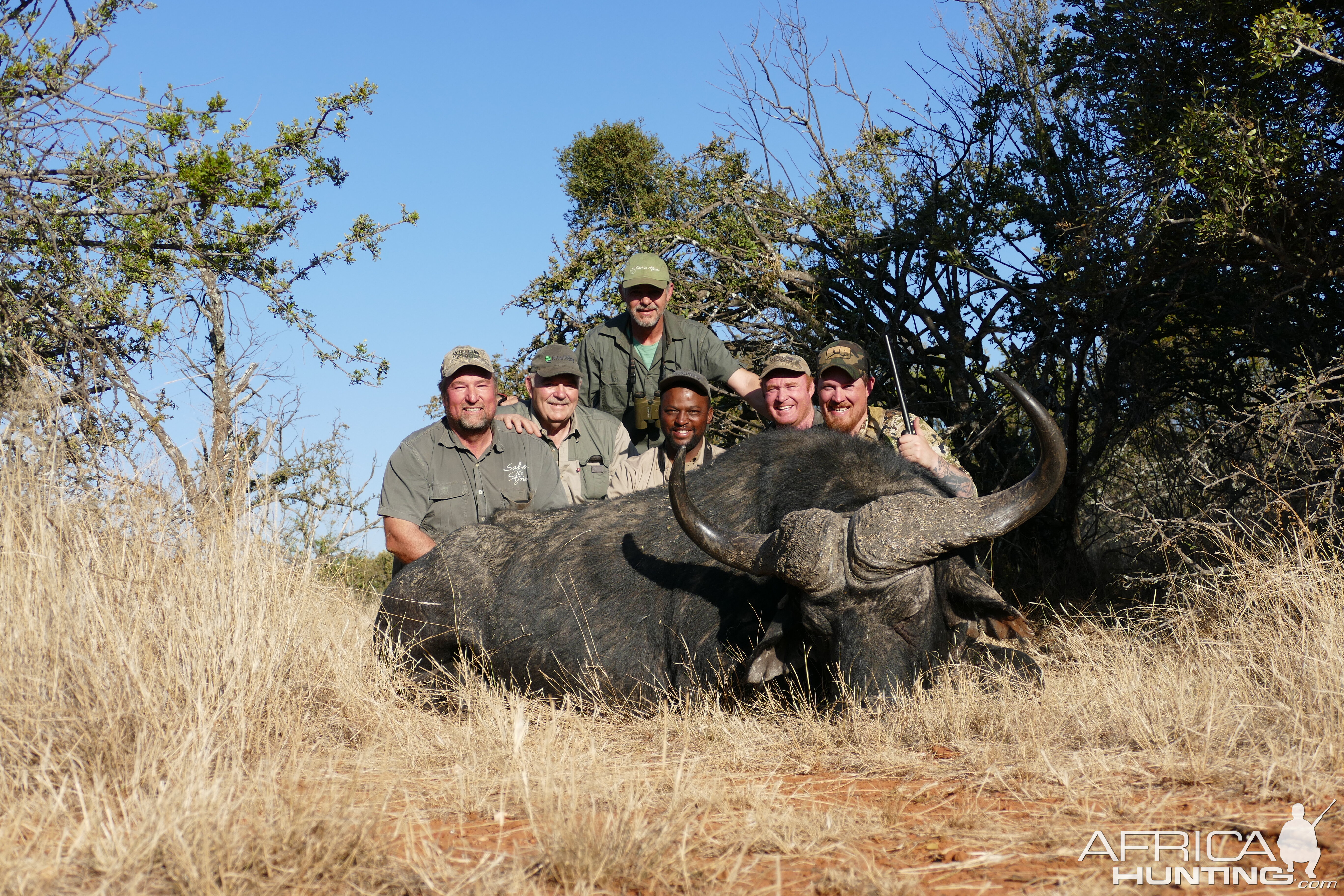 Buffalo Hunt Free State South Africa