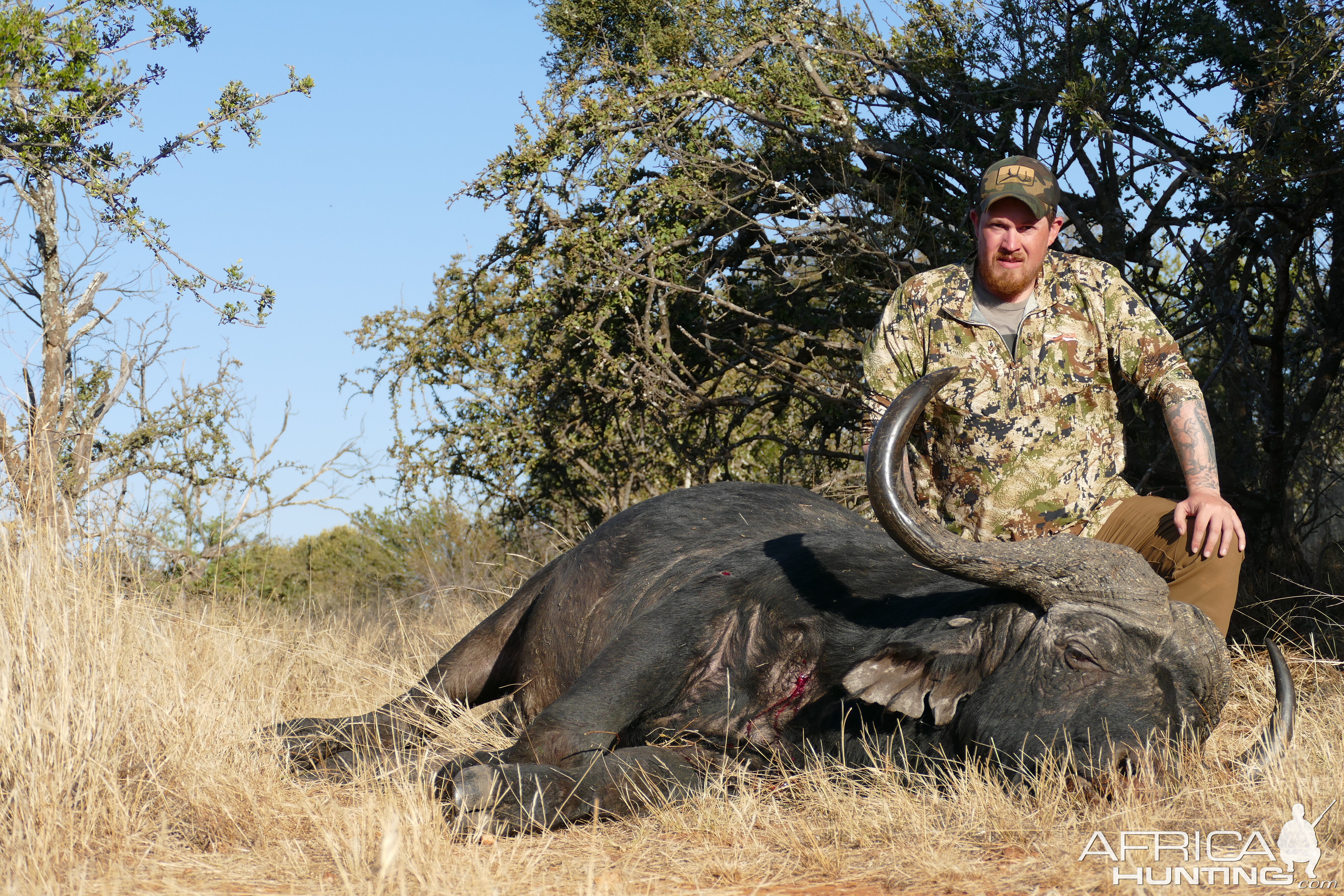 Buffalo Hunt Free State South Africa