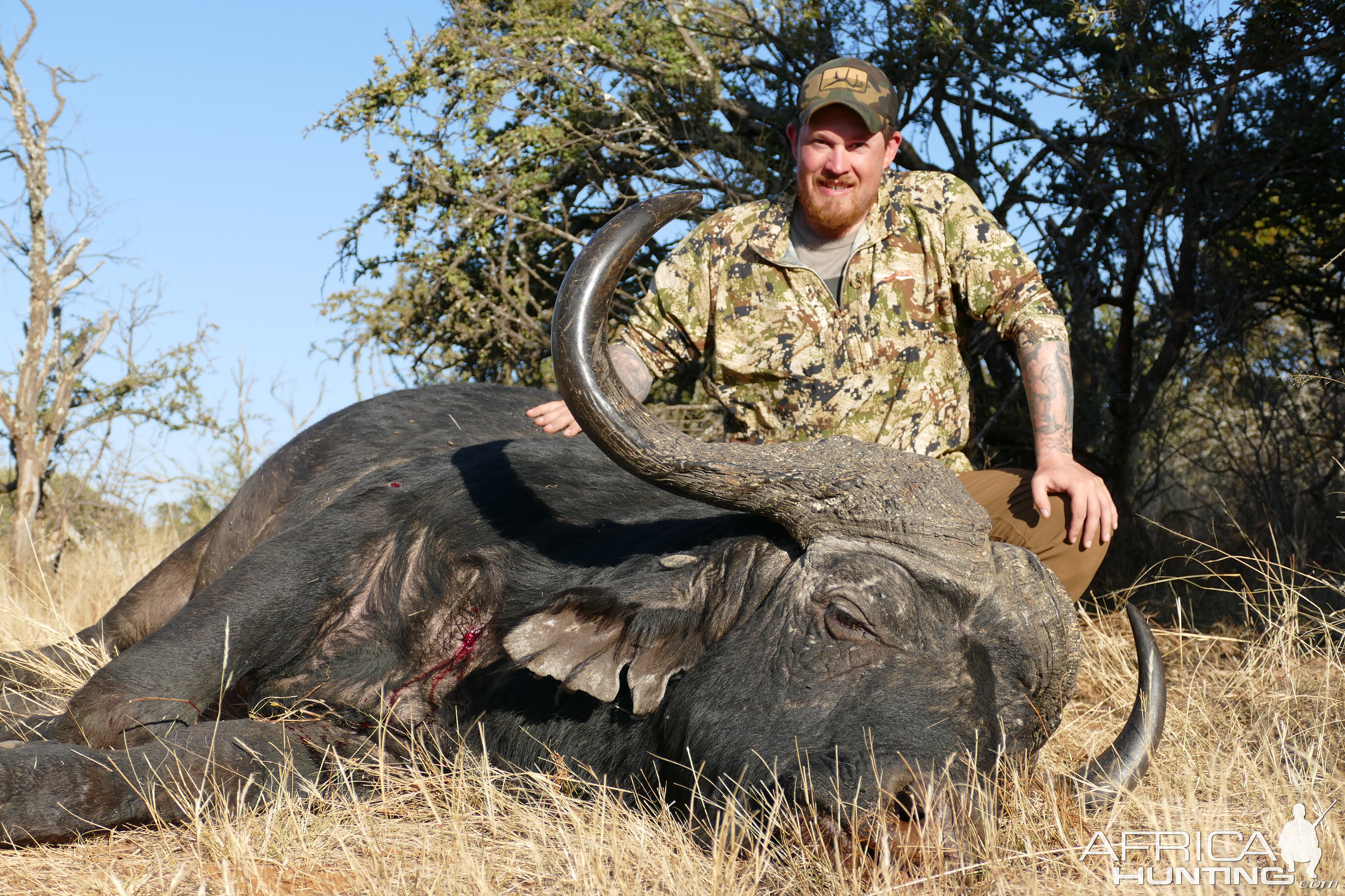 Buffalo Hunt Free State South Africa