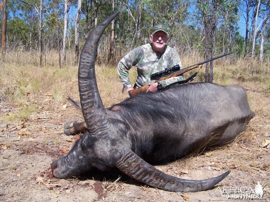 Buffalo Hunt in Australia