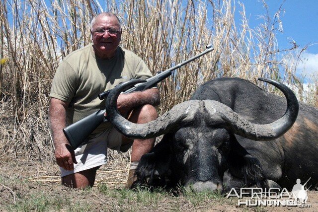 Buffalo Hunt in Tanzania