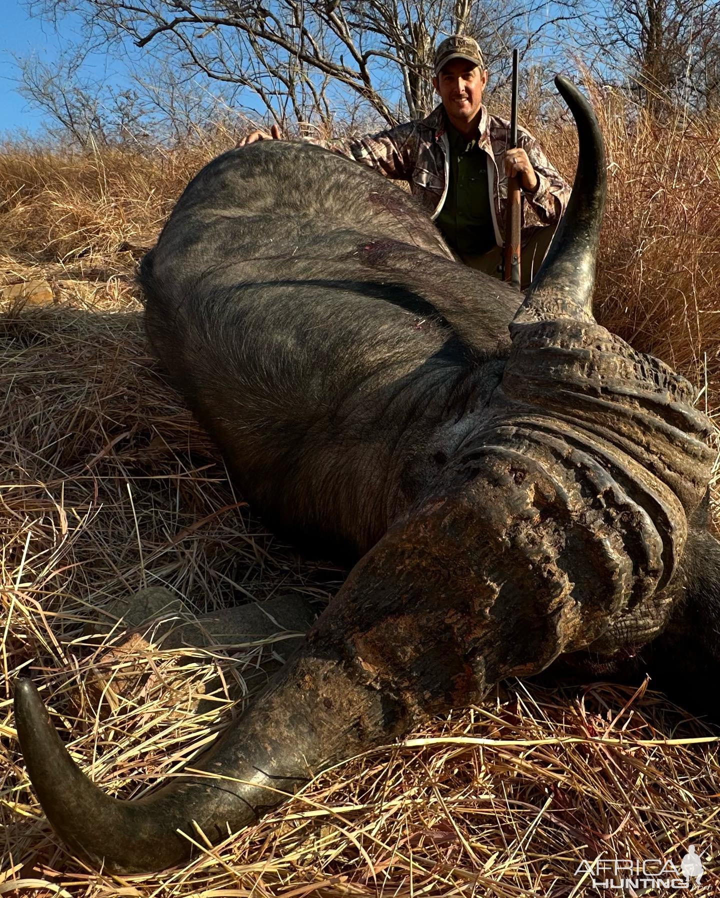 Buffalo Hunt Kariba Zimbabwe