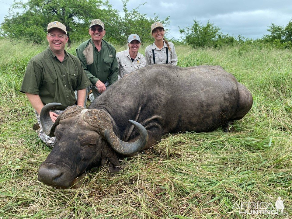 Buffalo Hunt KwaZulu-Natal South Africa