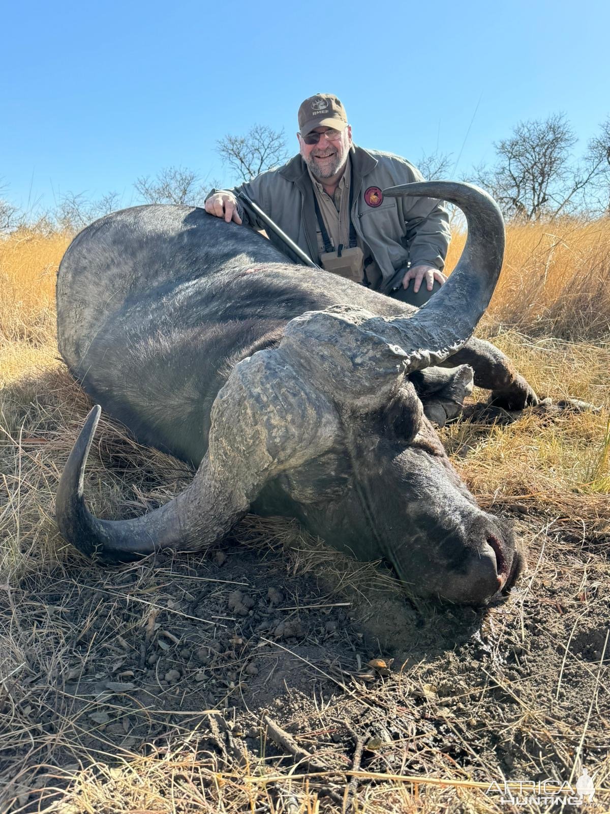 Buffalo Hunt KwaZulu Natal South Africa