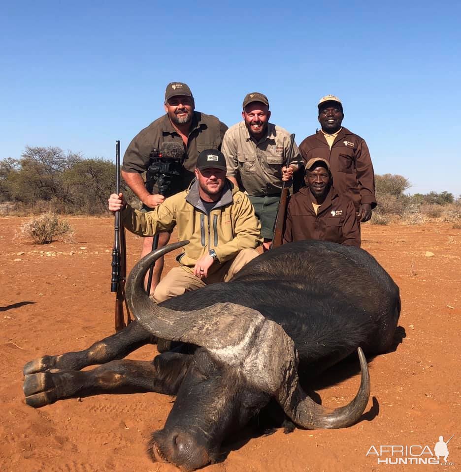 Buffalo Hunt Limpopo Province South Africa