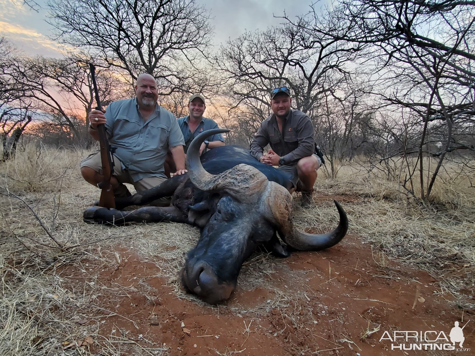 Buffalo Hunt Limpopo South Africa