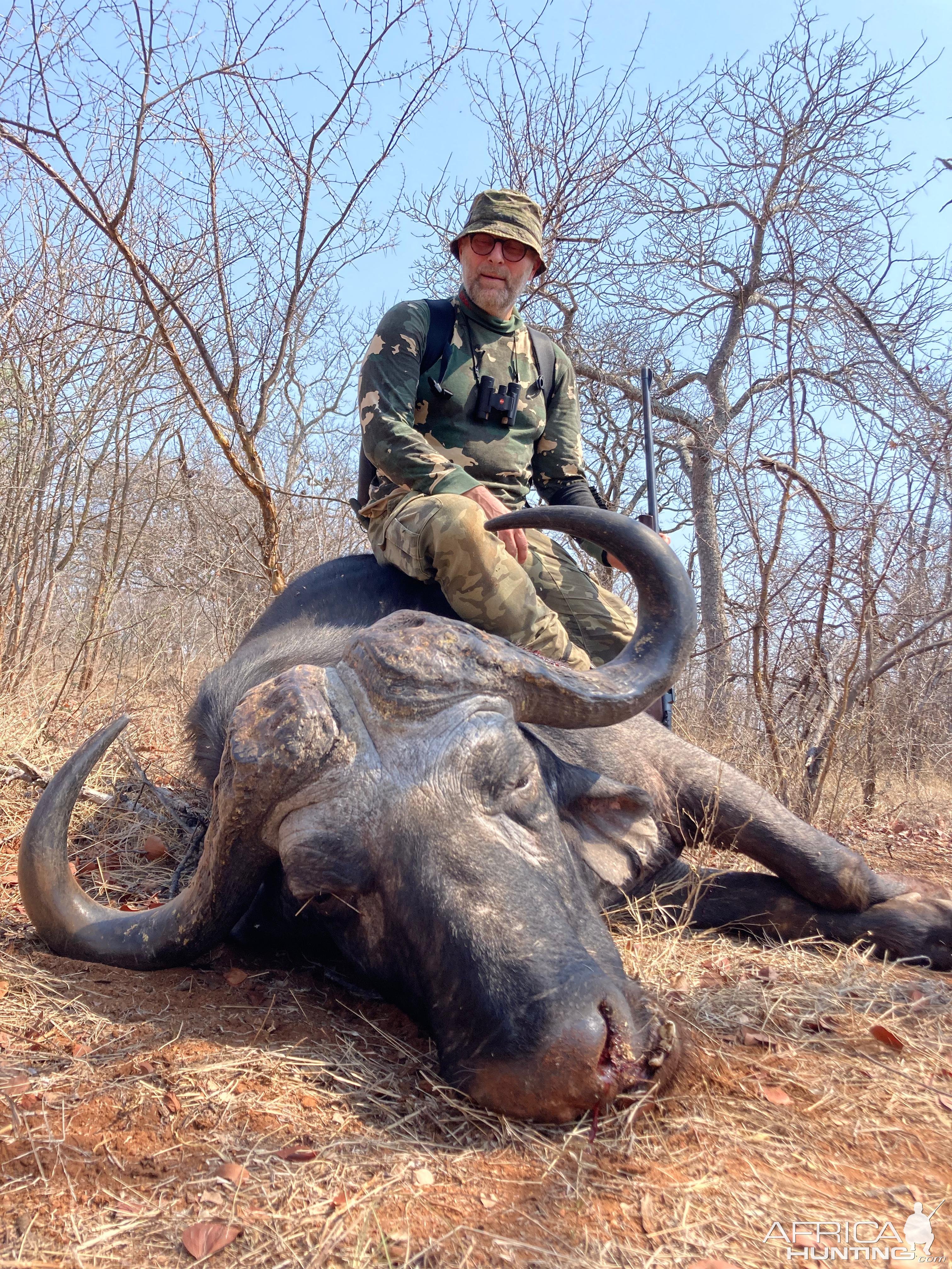 Buffalo Hunt Lowveld South Africa