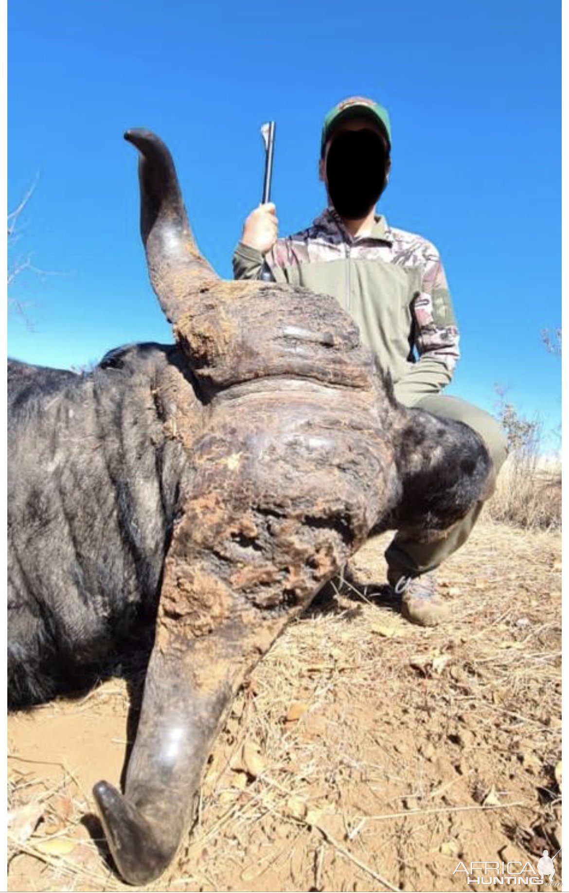 Buffalo Hunt Matetsi Zimbabwe