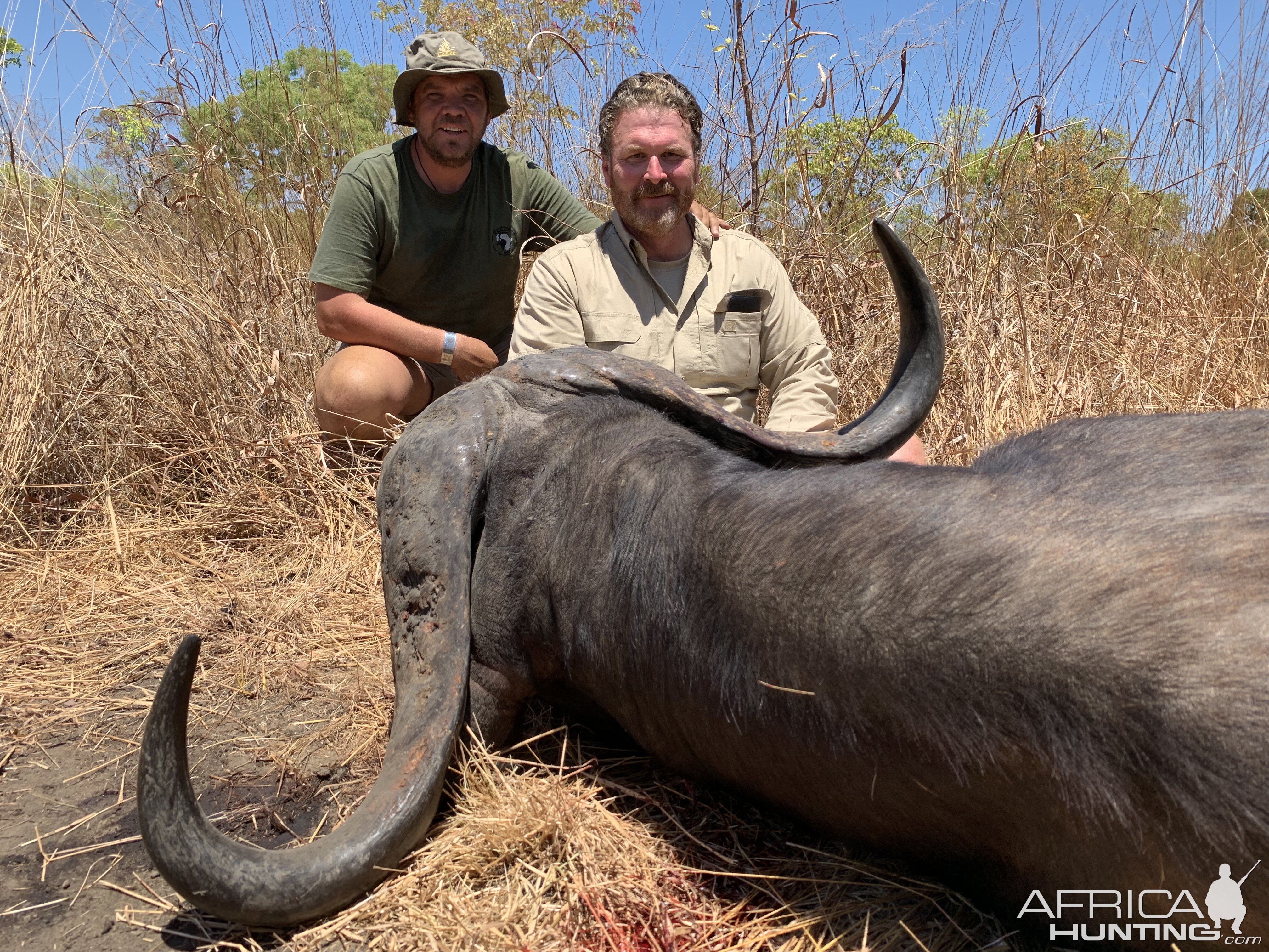 Buffalo Hunt Mozambique With Kwalata Safaris