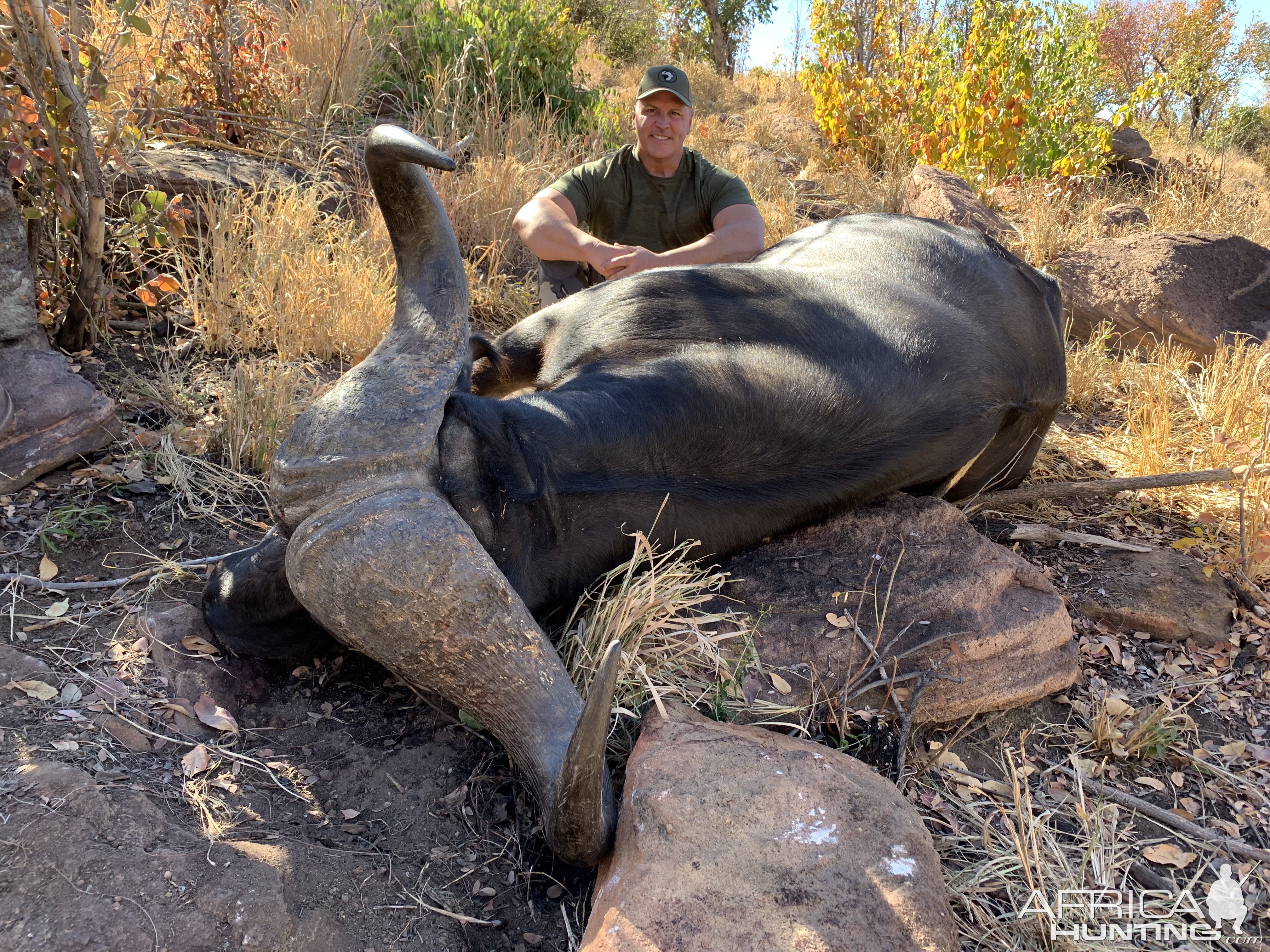 Buffalo Hunt Mozambique With Kwalata Safaris