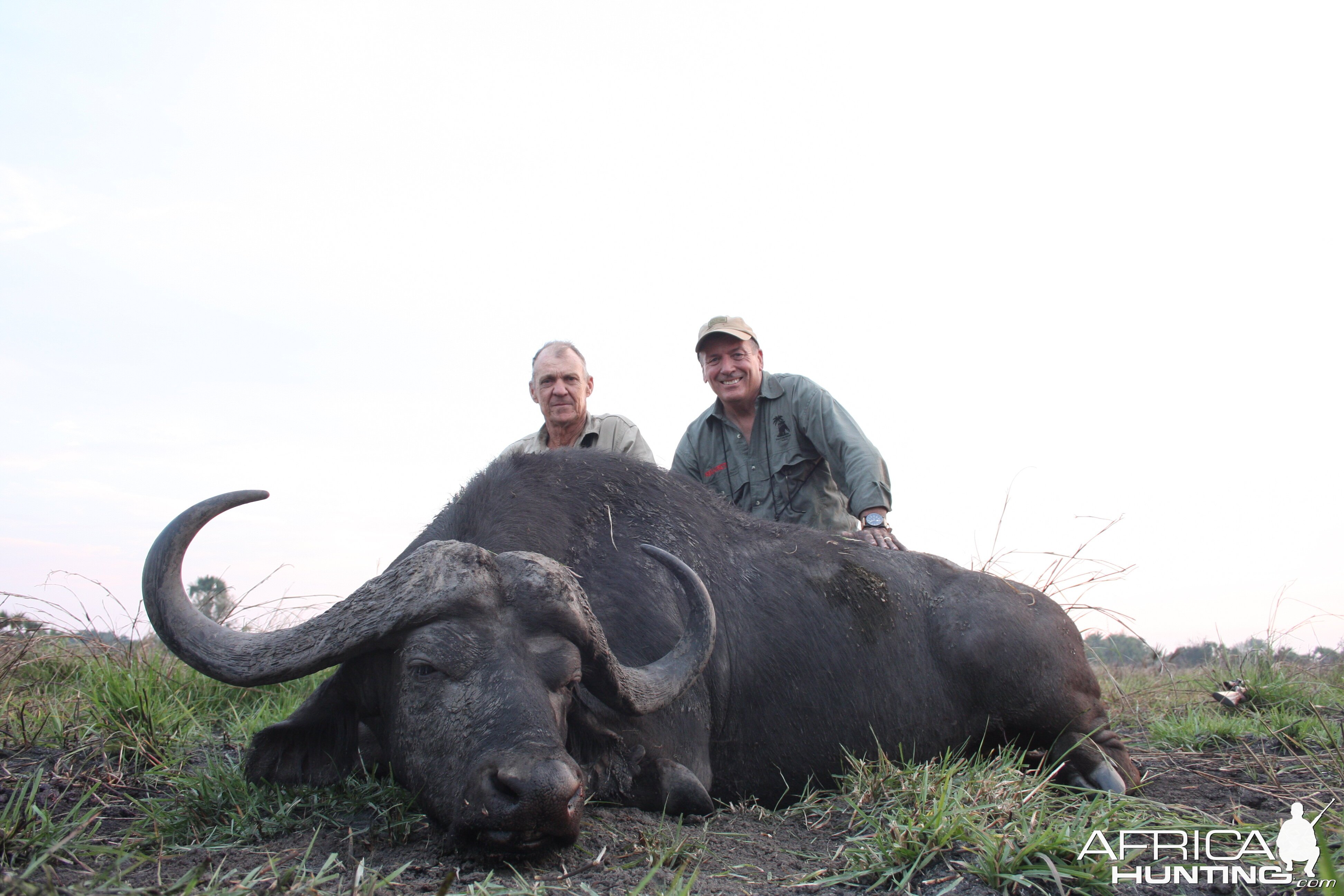 Buffalo Hunt Mozambique