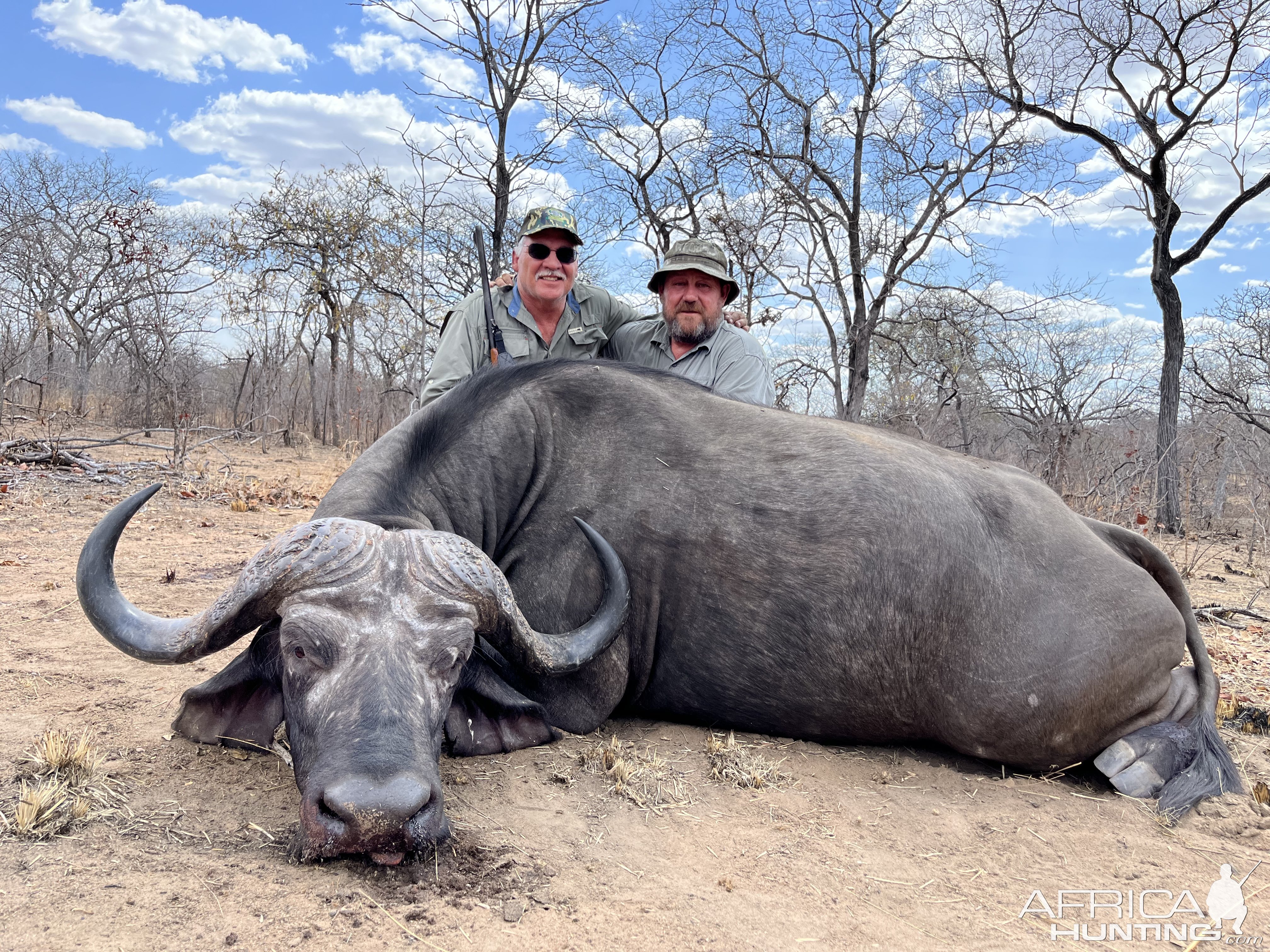 Buffalo Hunt Mozambique