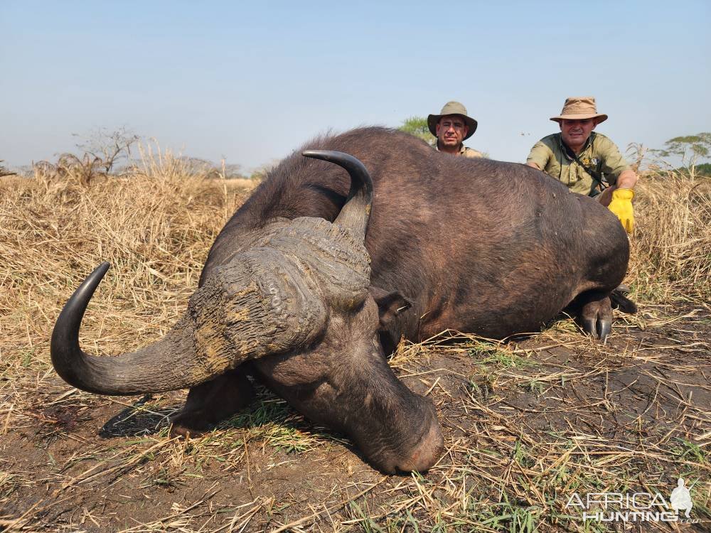 Buffalo Hunt Mozambique