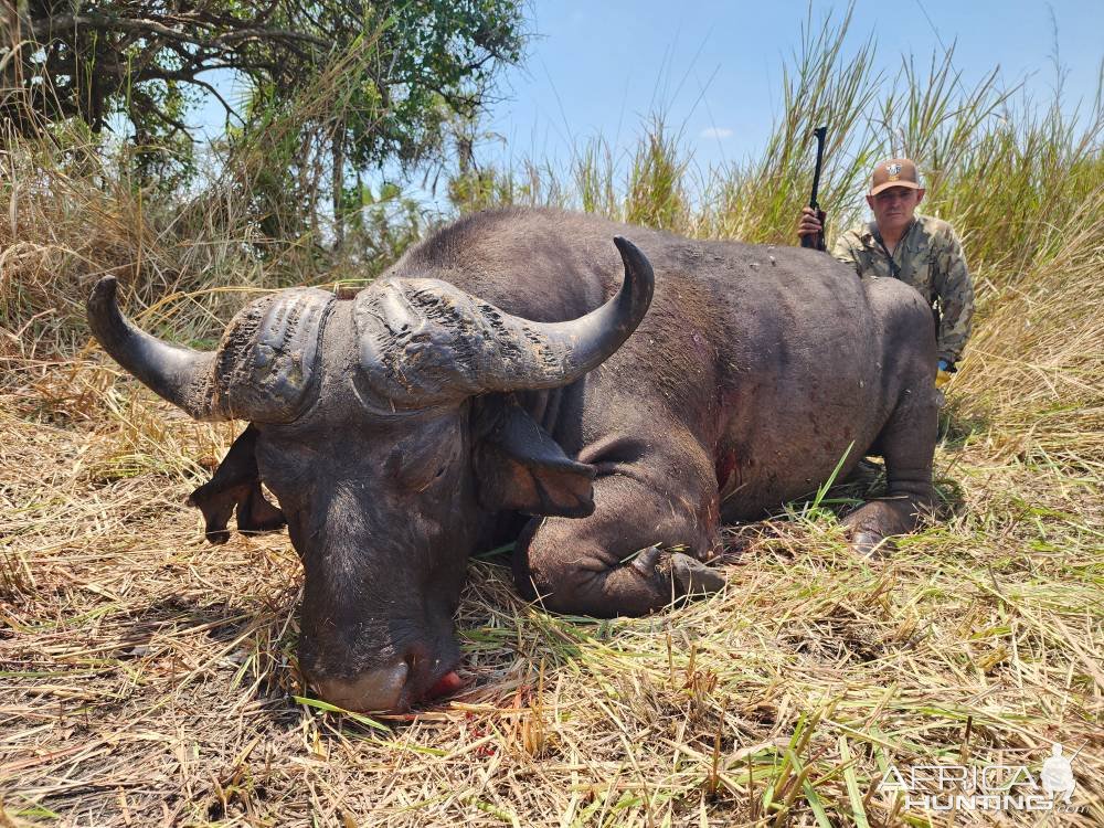 Buffalo Hunt Mozambique