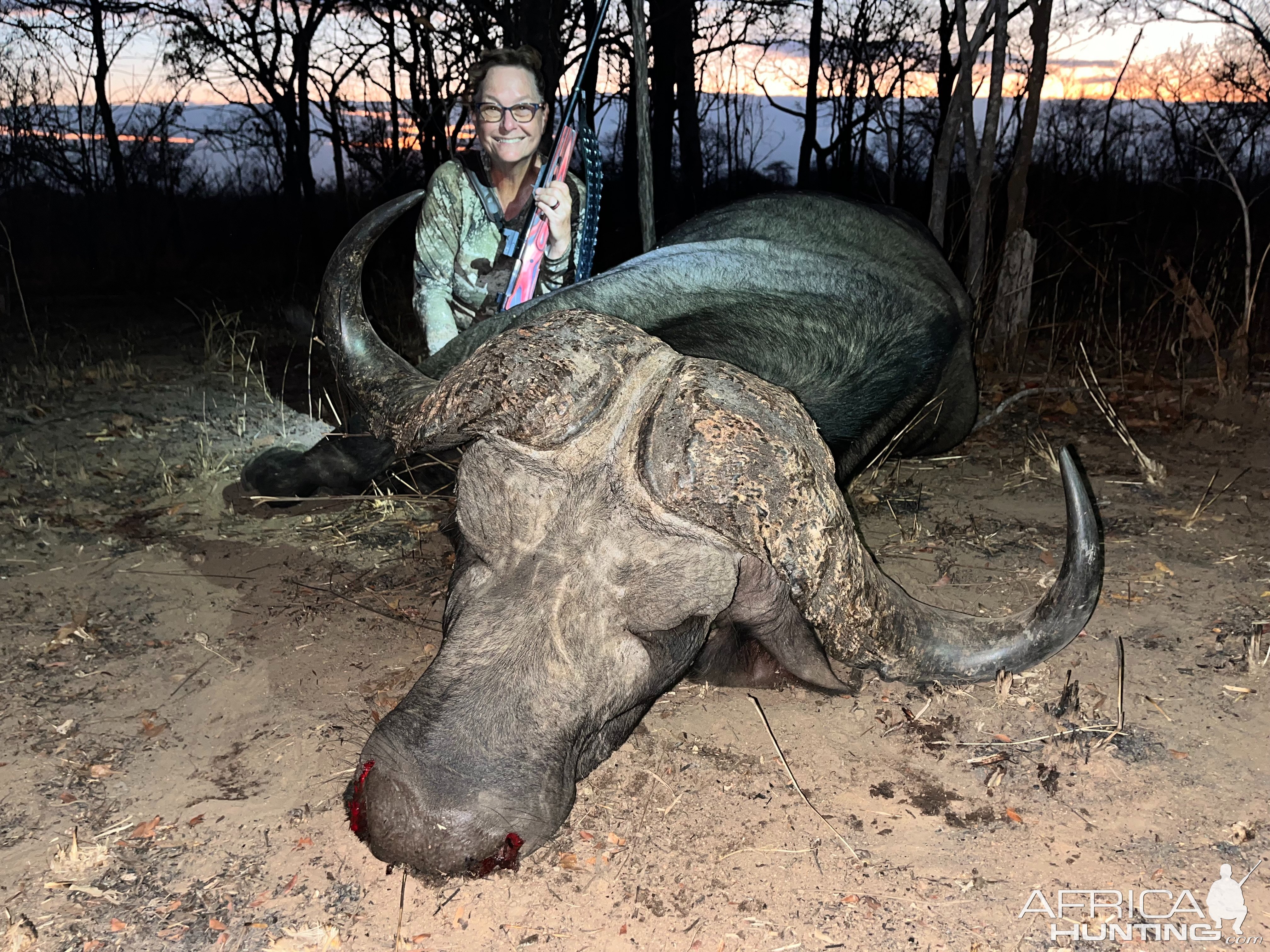 Buffalo Hunt Mozambique