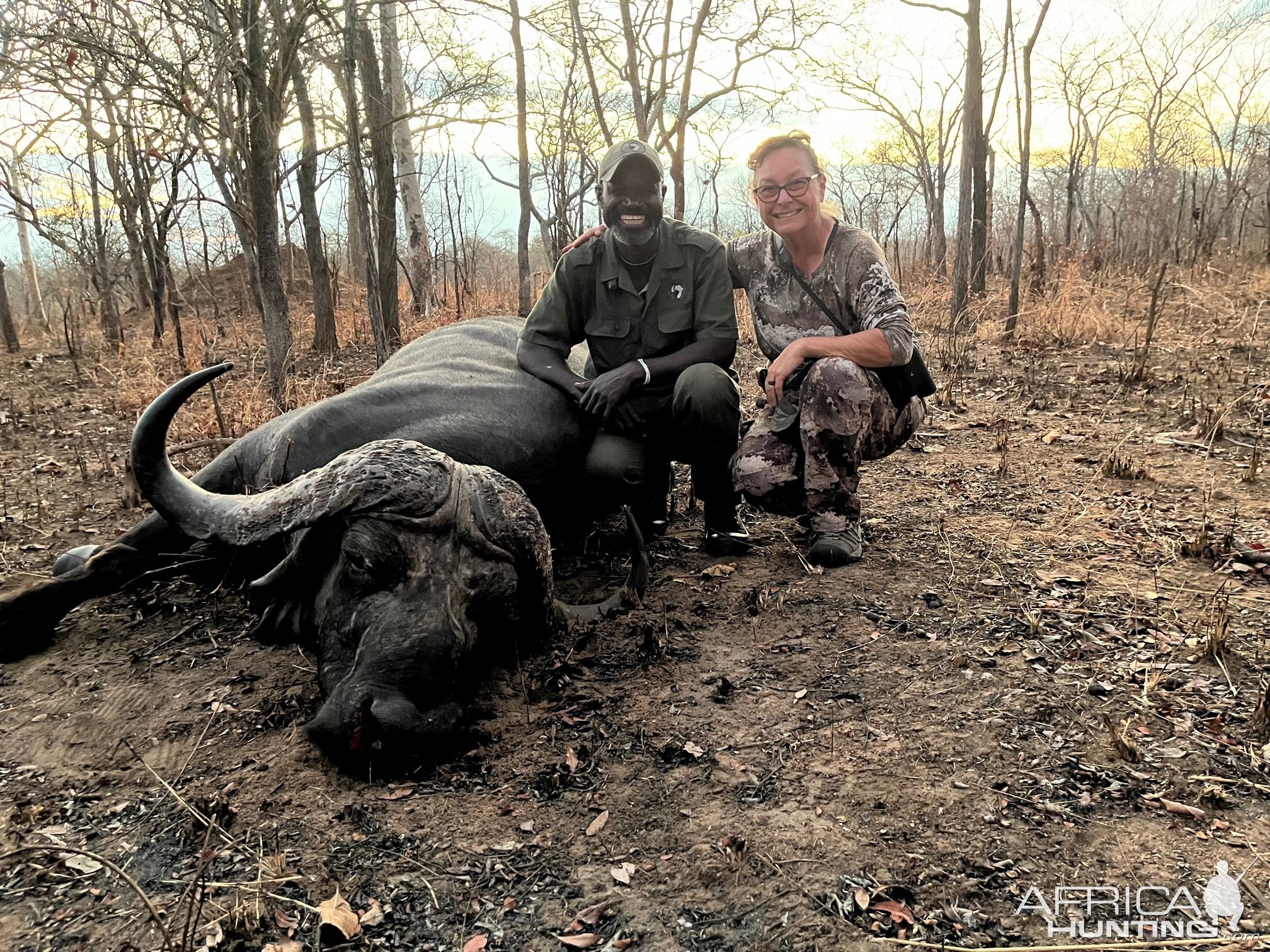 Buffalo Hunt Mozambique