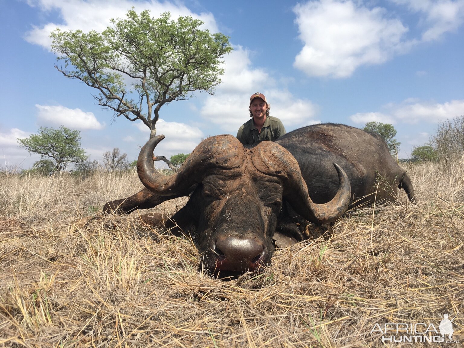 Buffalo Hunt Mozambique