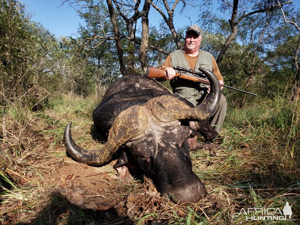 Buffalo Hunt Naivasha Zimbabwe