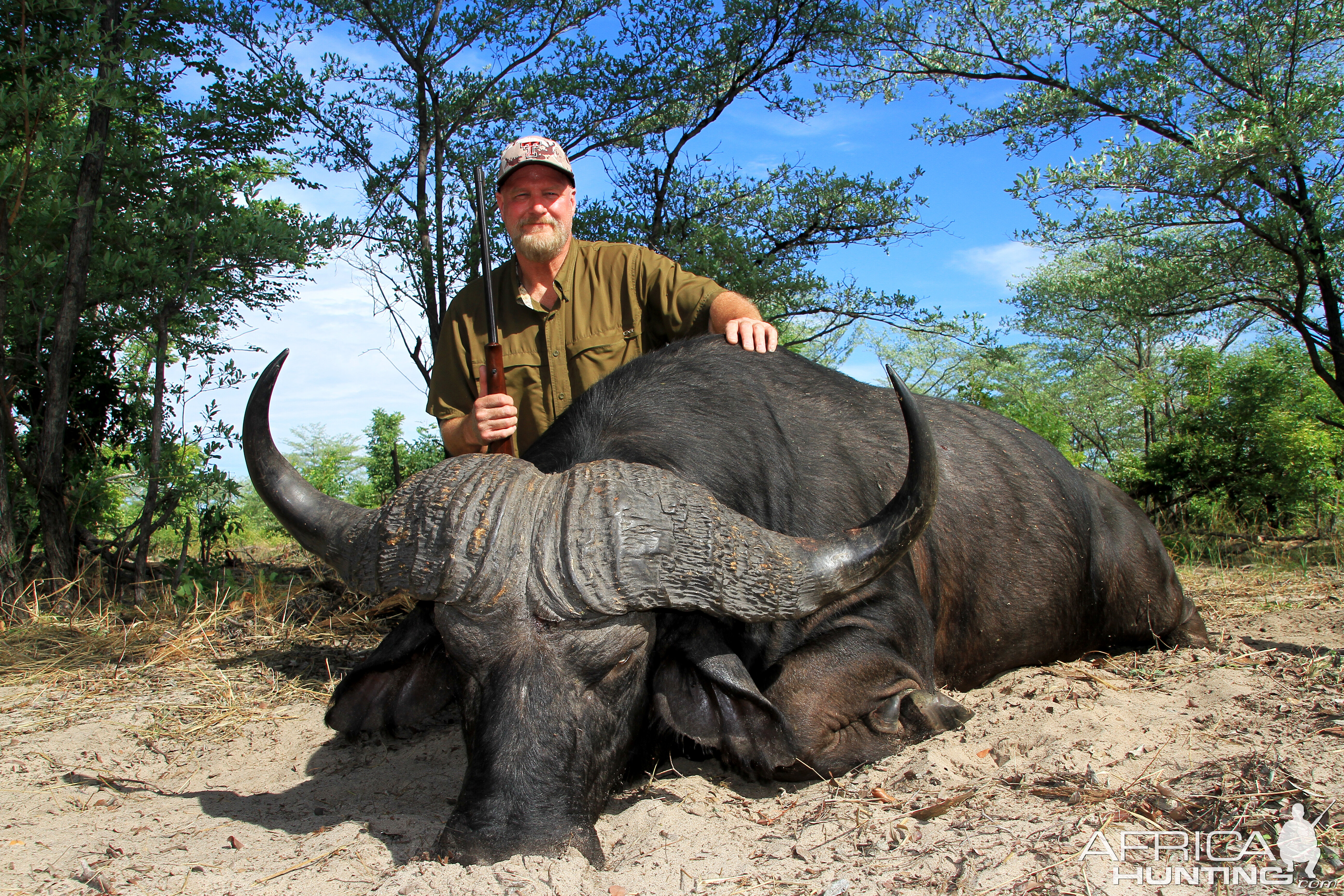 Buffalo Hunt Namibia