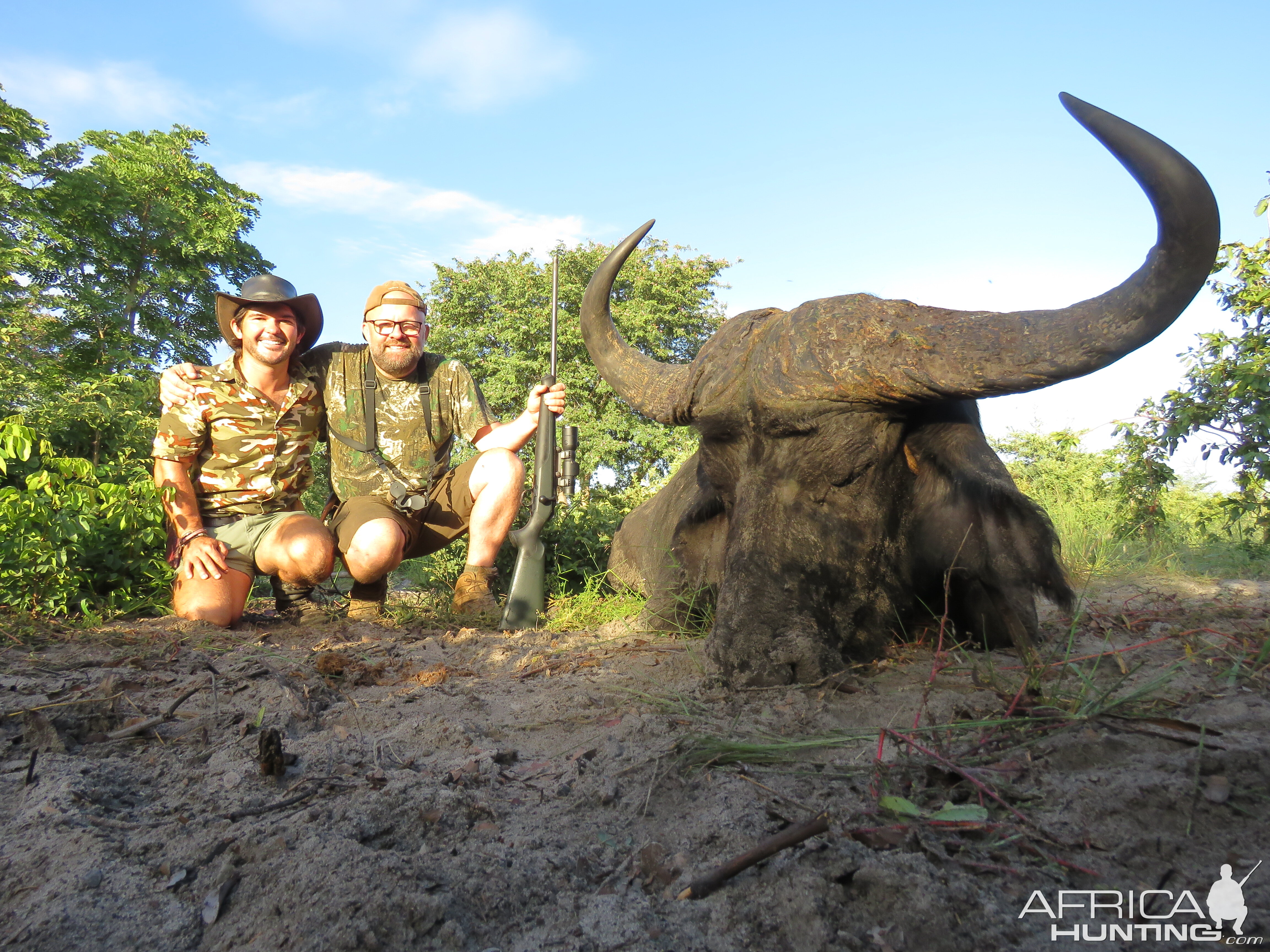 Buffalo Hunt Namibia