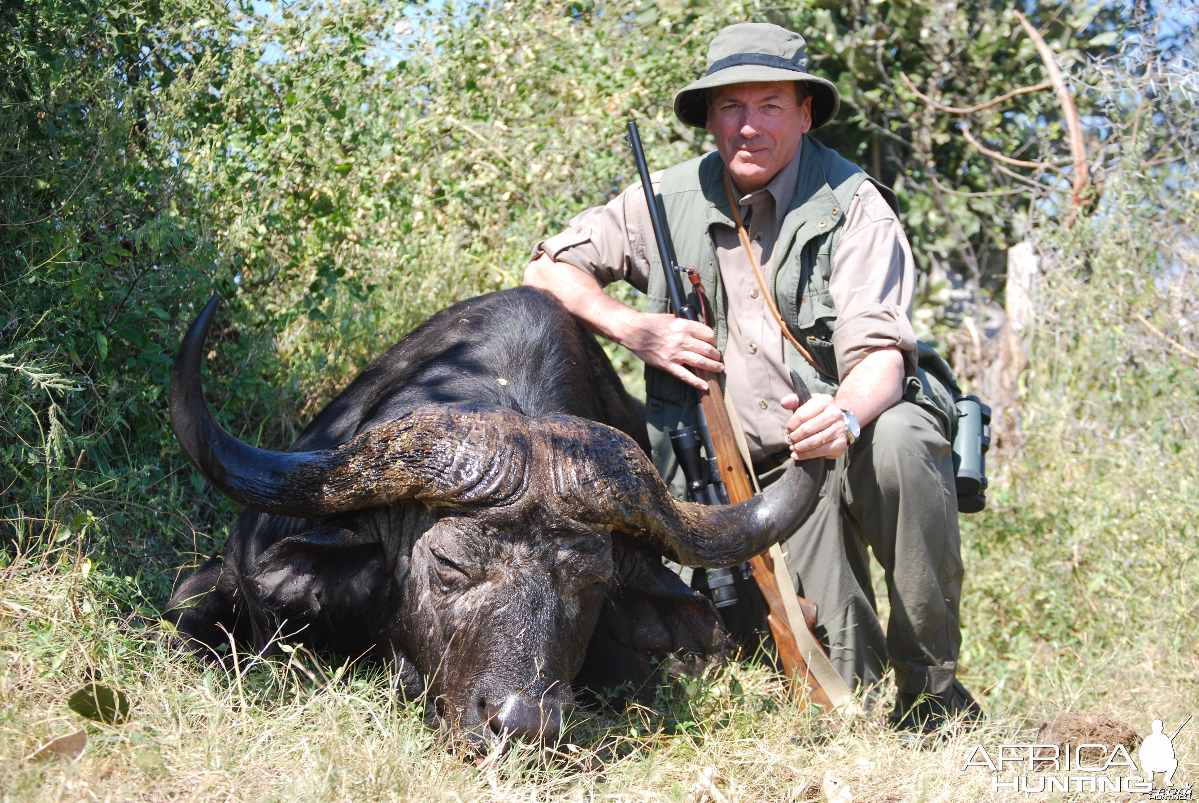 Buffalo Hunt Namibia