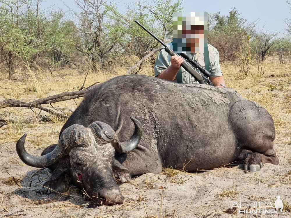 Buffalo Hunt Namibia