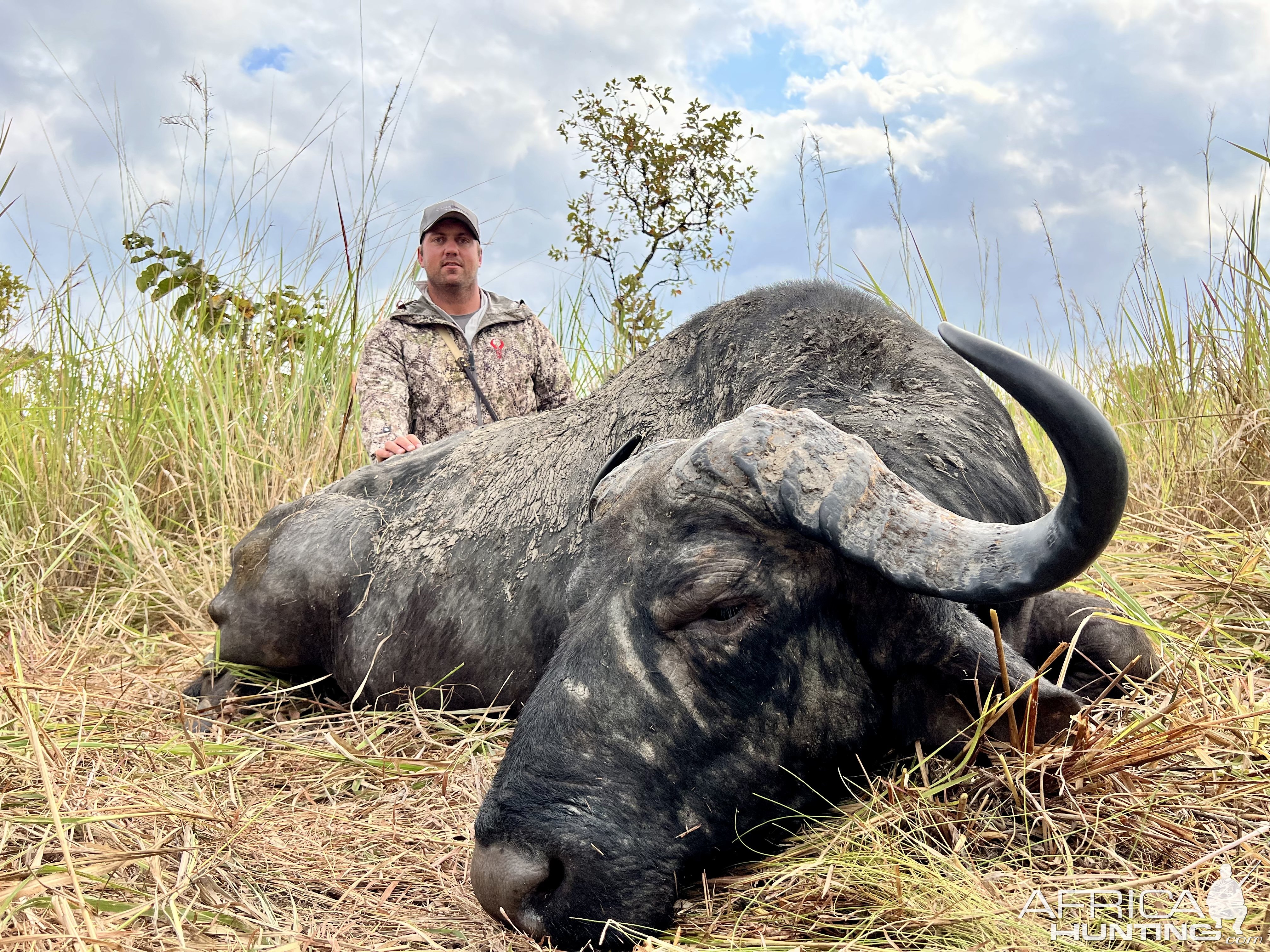 Buffalo Hunt Namibia