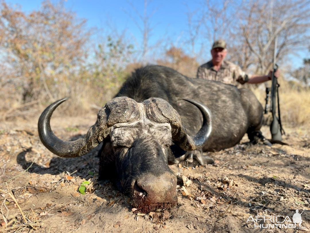 Buffalo Hunt Namibia