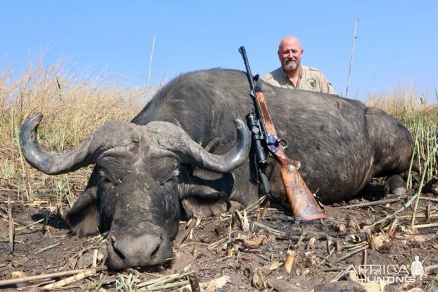 Buffalo Hunt Namibia