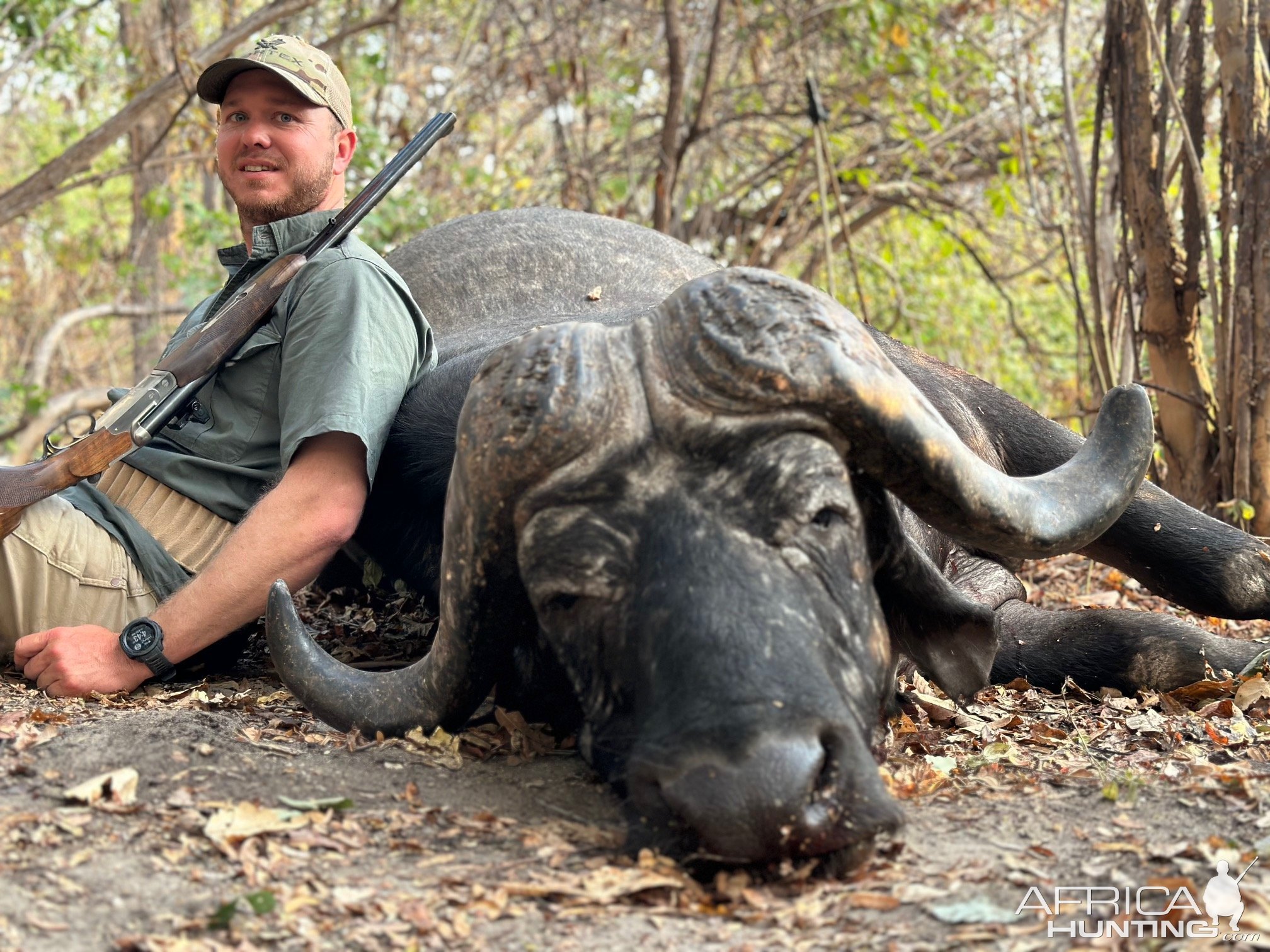 Buffalo Hunt Niassa Mozambique