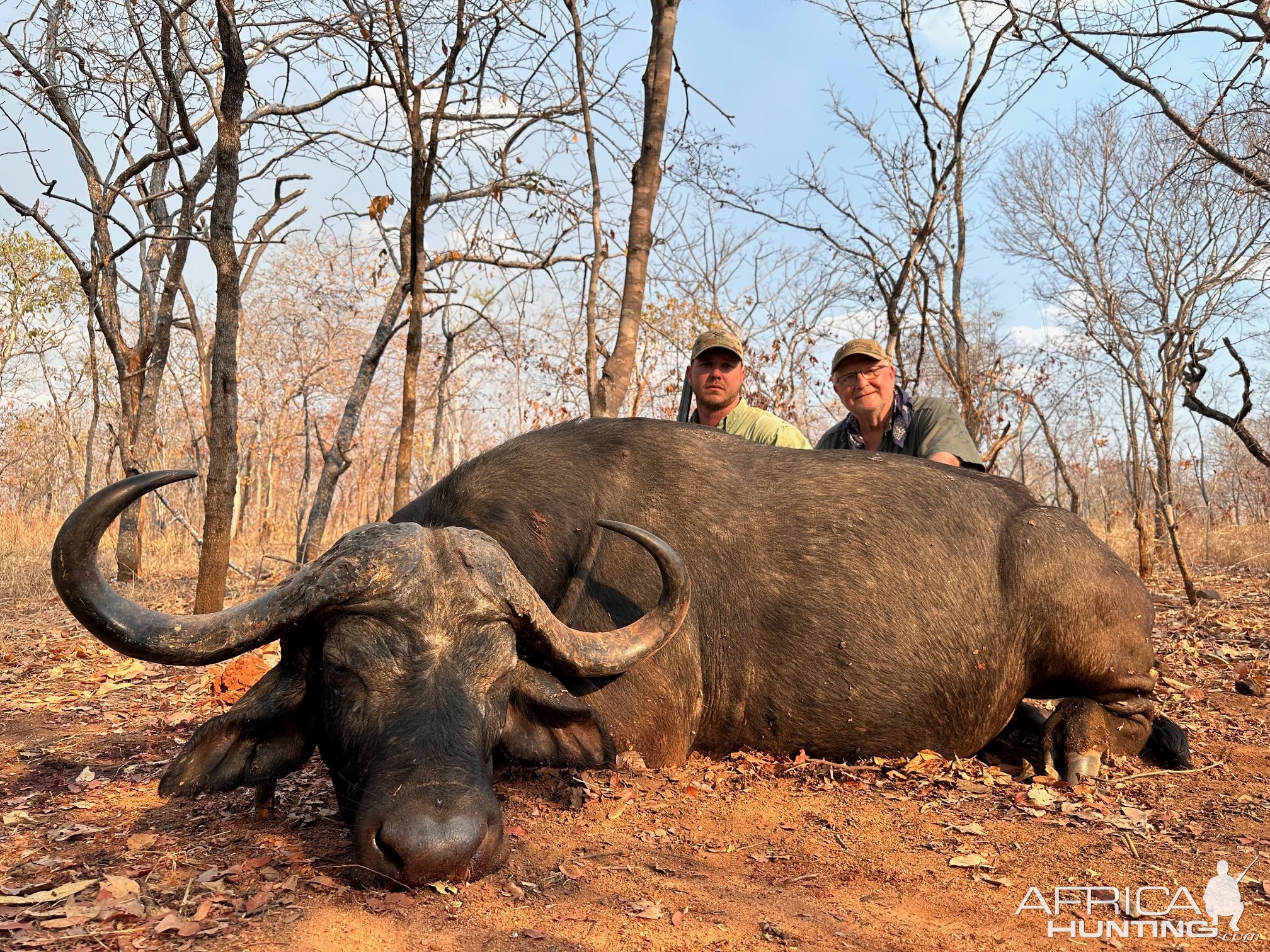 Buffalo Hunt Niassa Mozambique