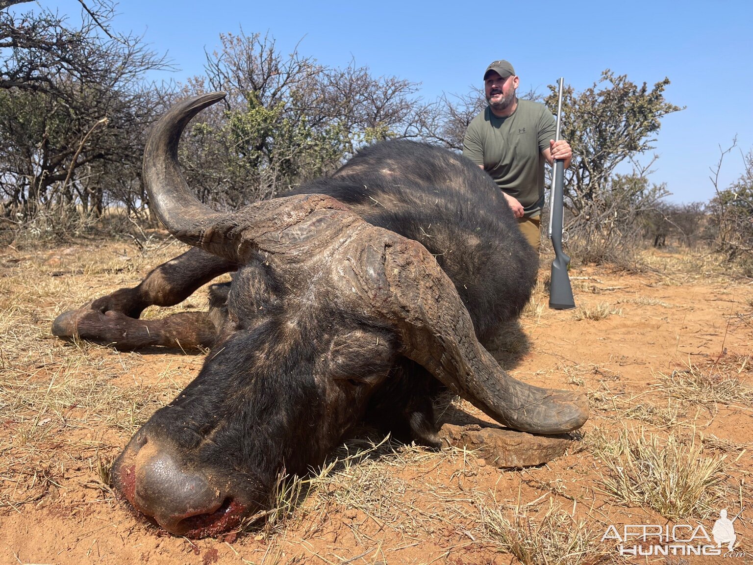 Buffalo Hunt Northwest Province South Africa