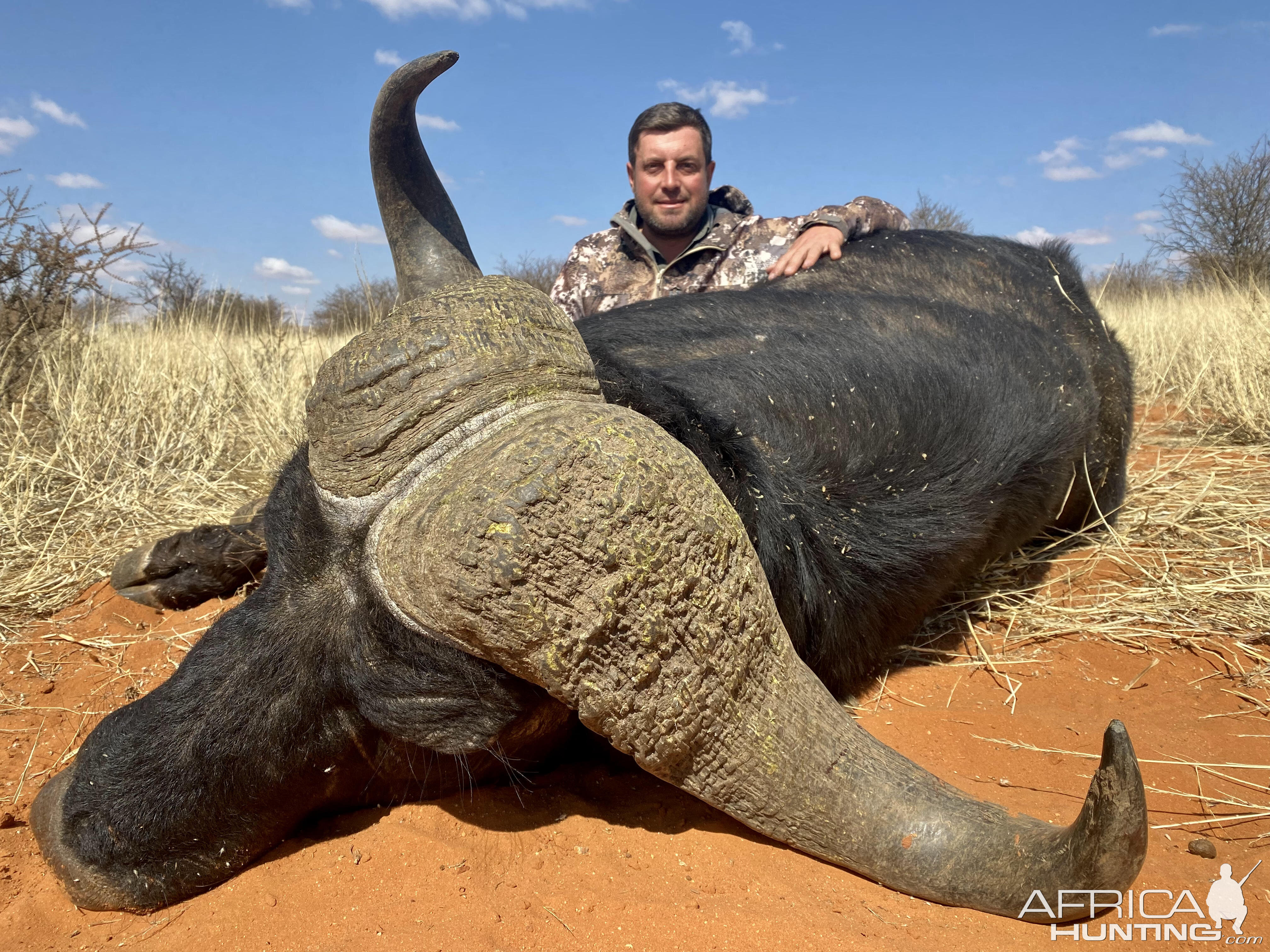 Buffalo Hunt Nothern Cape South Africa