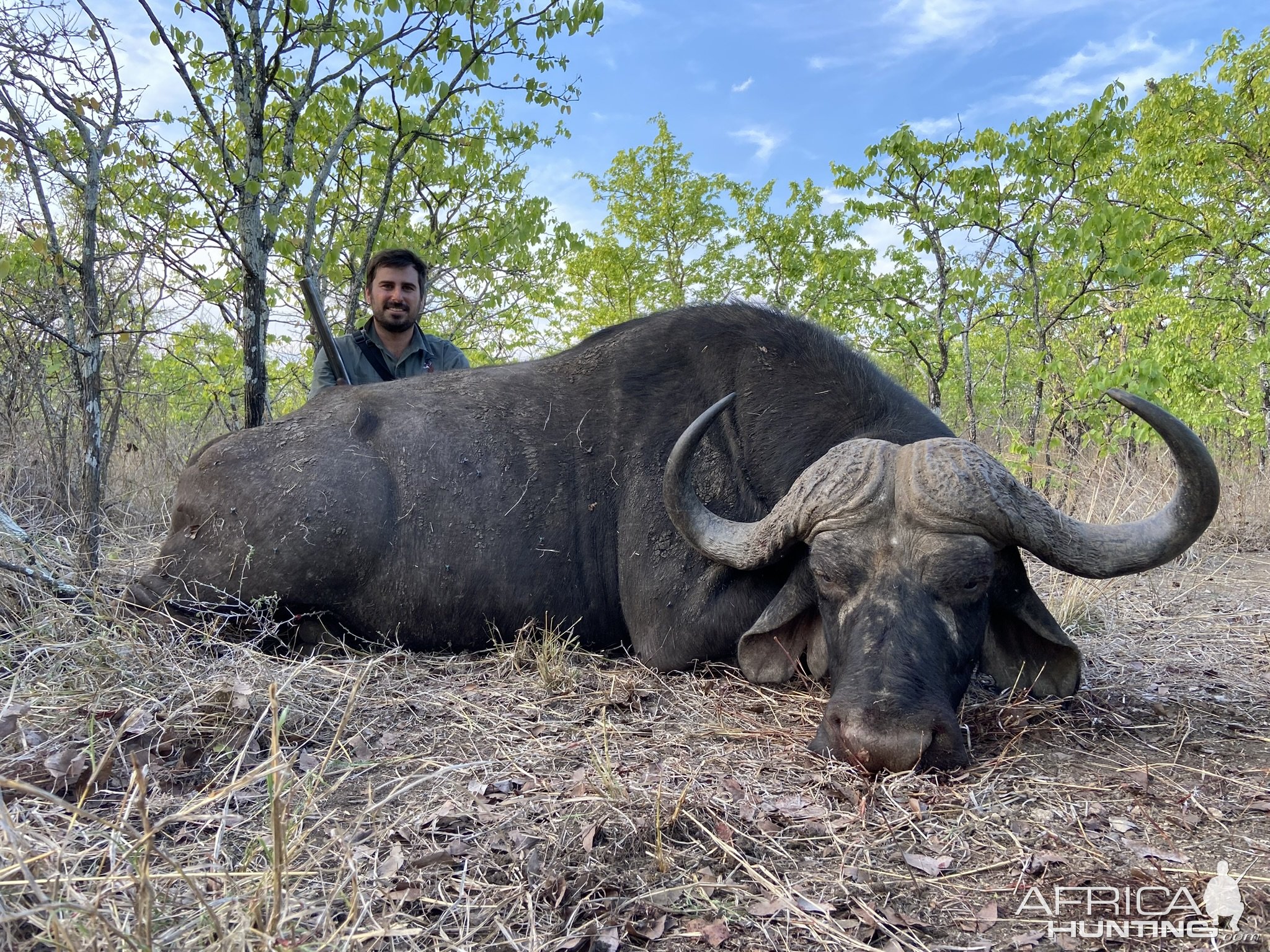 Buffalo Hunt Nuanetsi Conservancy Zimbabwe