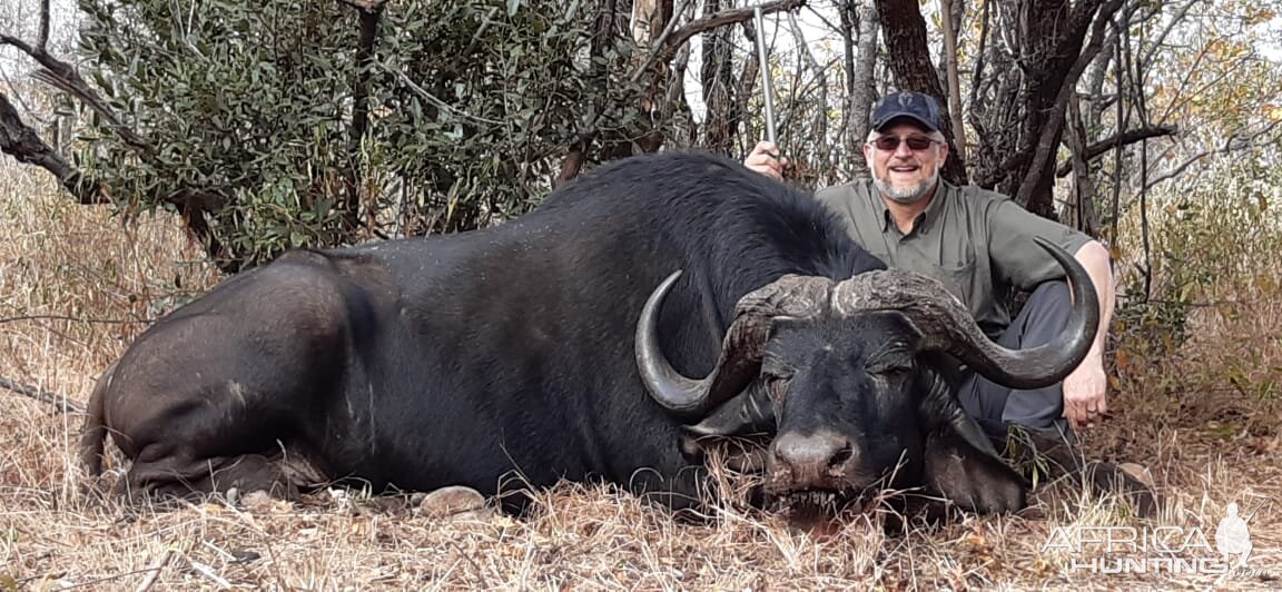 Buffalo Hunt South Africa