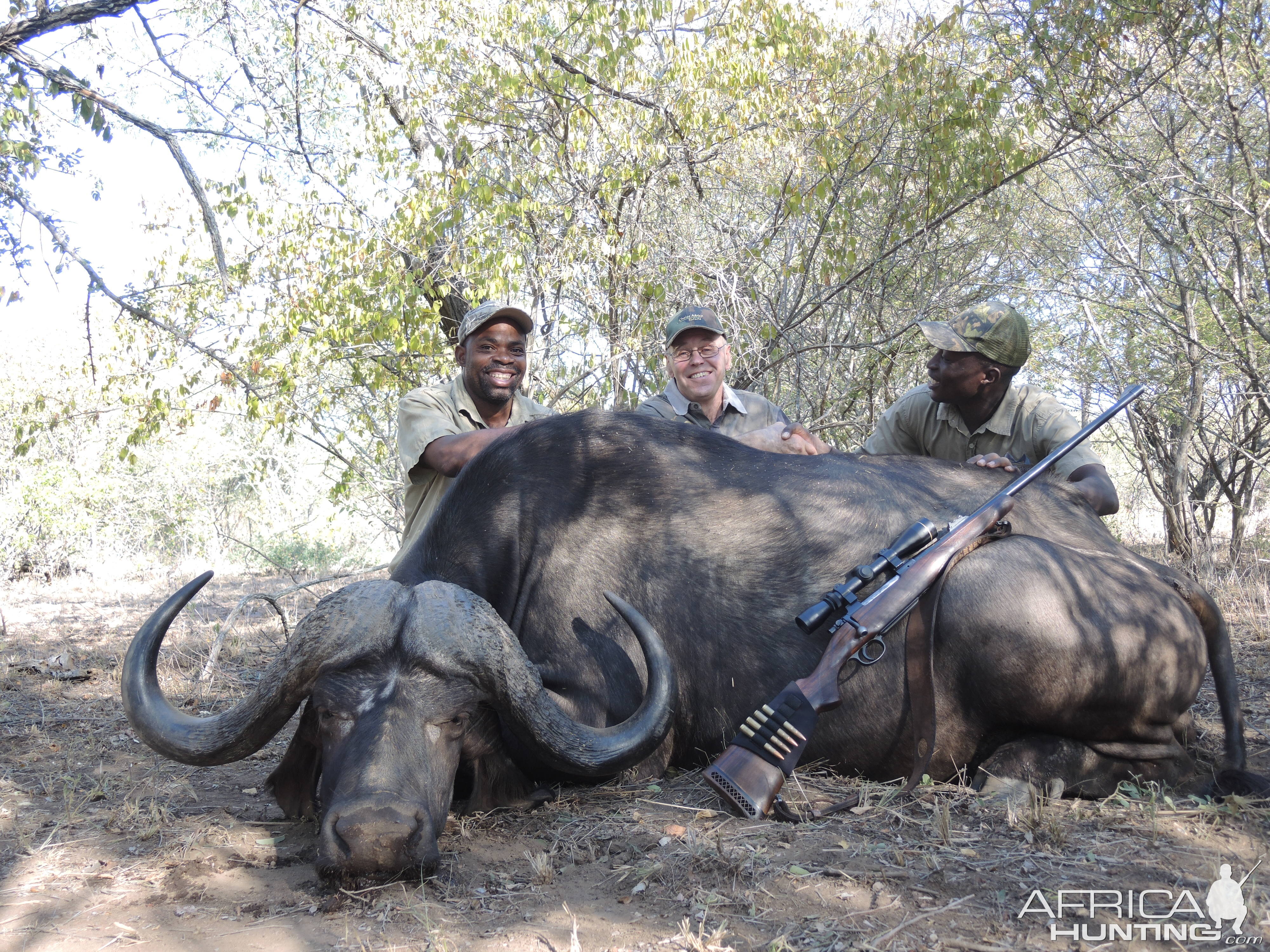 Buffalo Hunt South Africa