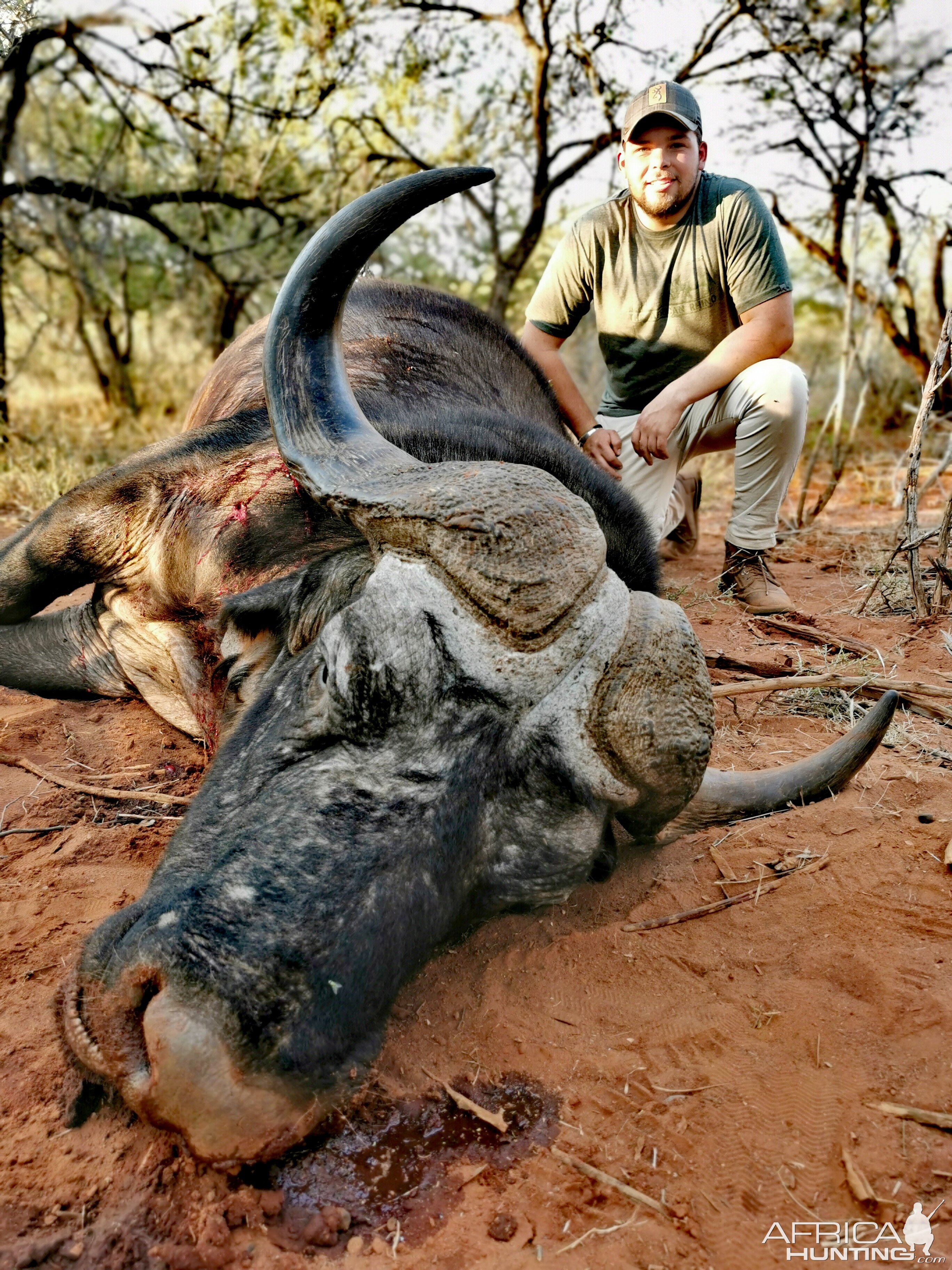 Buffalo Hunt South Africa