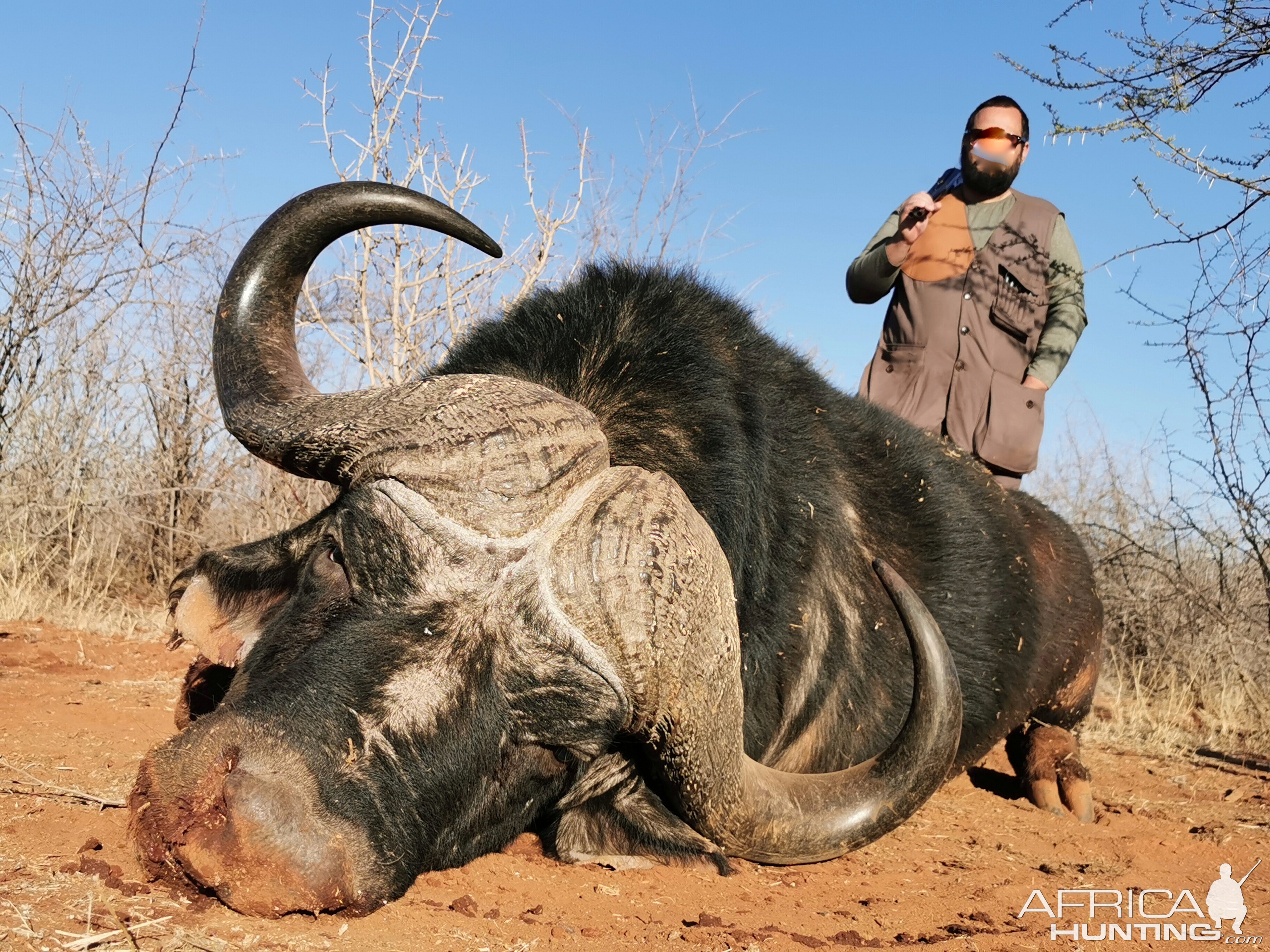 Buffalo Hunt South Africa